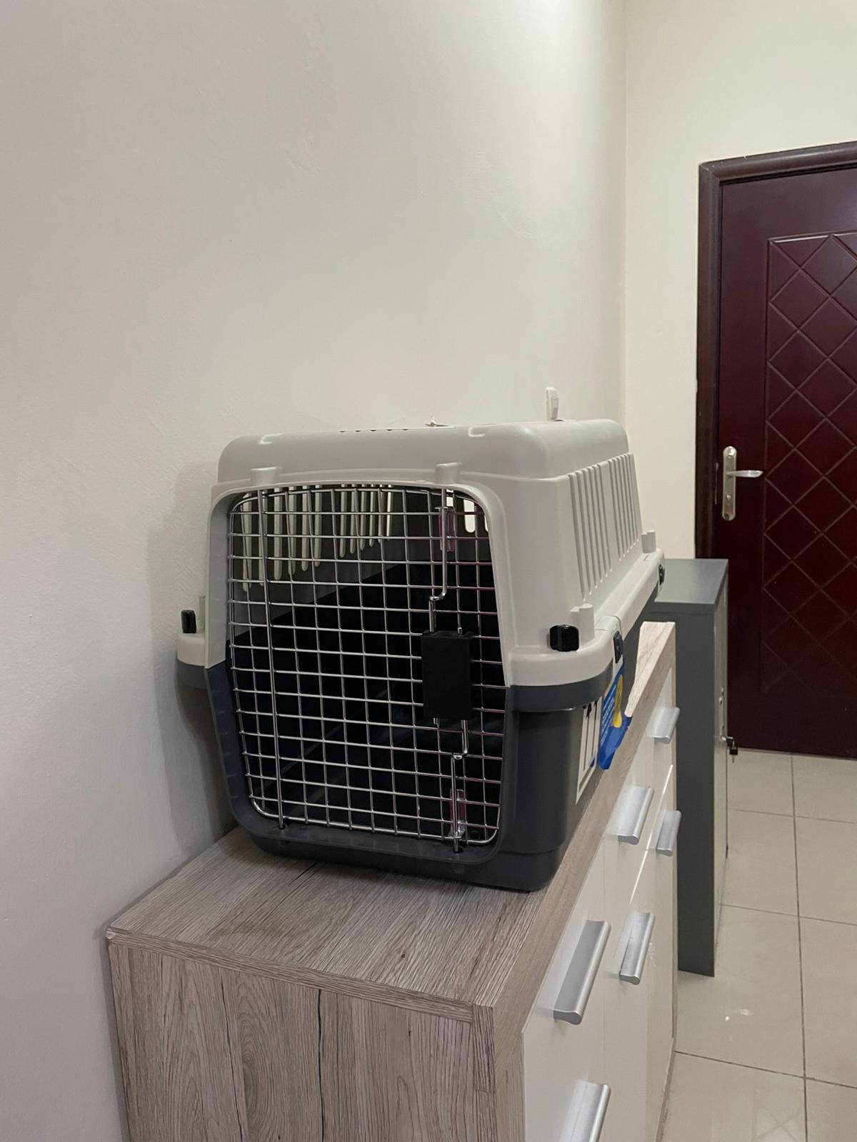 IATA APPROVED CRATE FOR CAT - Image 1