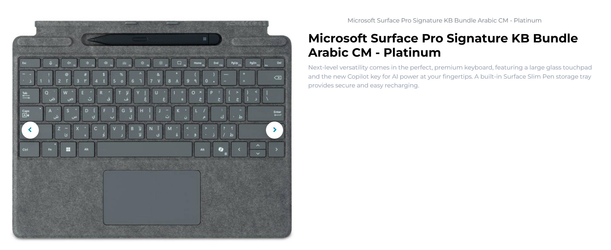 MS Surface Pro 10 5G + MS Keyboard + MS Mouse - Image 2