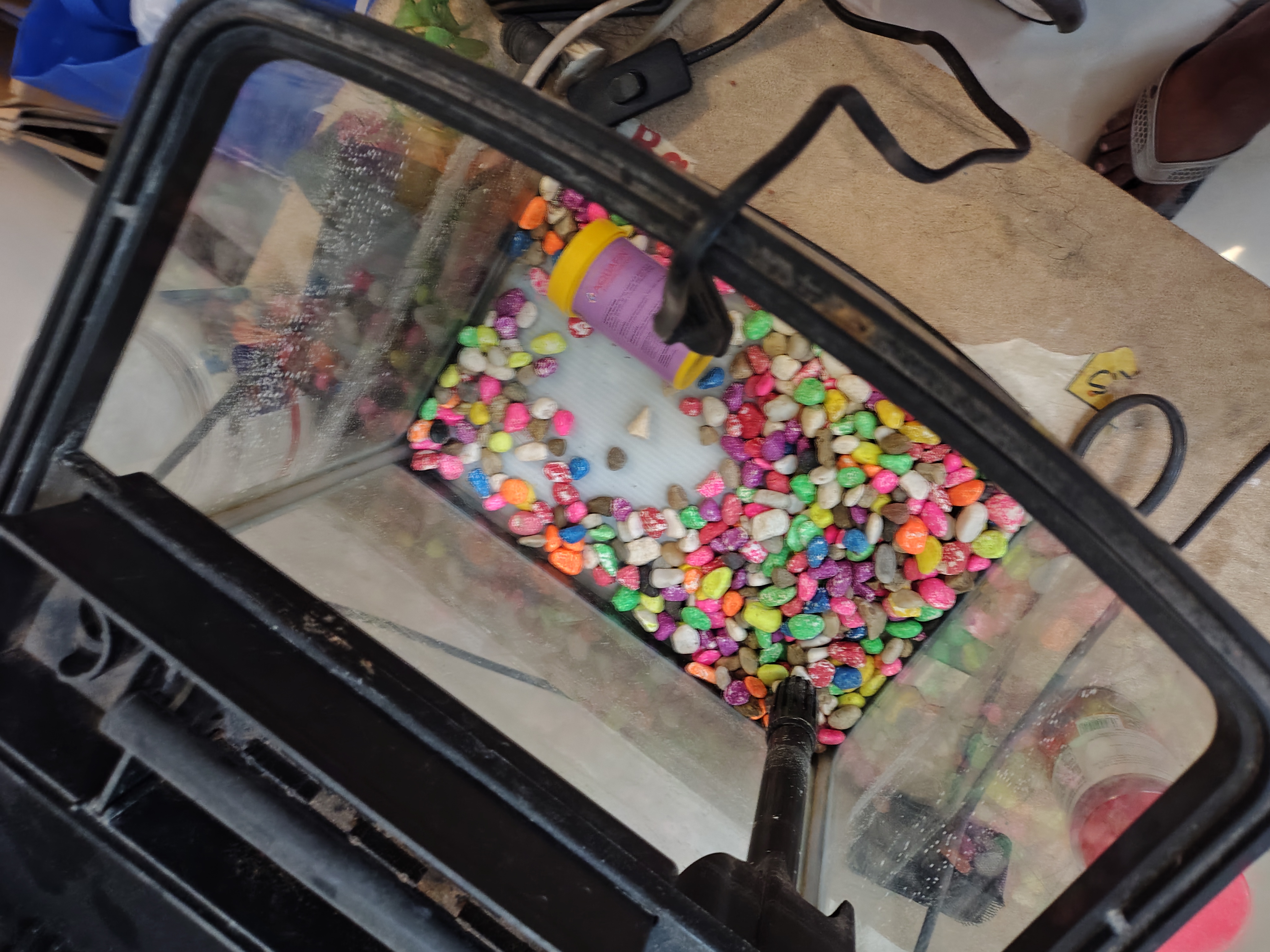 smalll aquarium for sale - Image 3