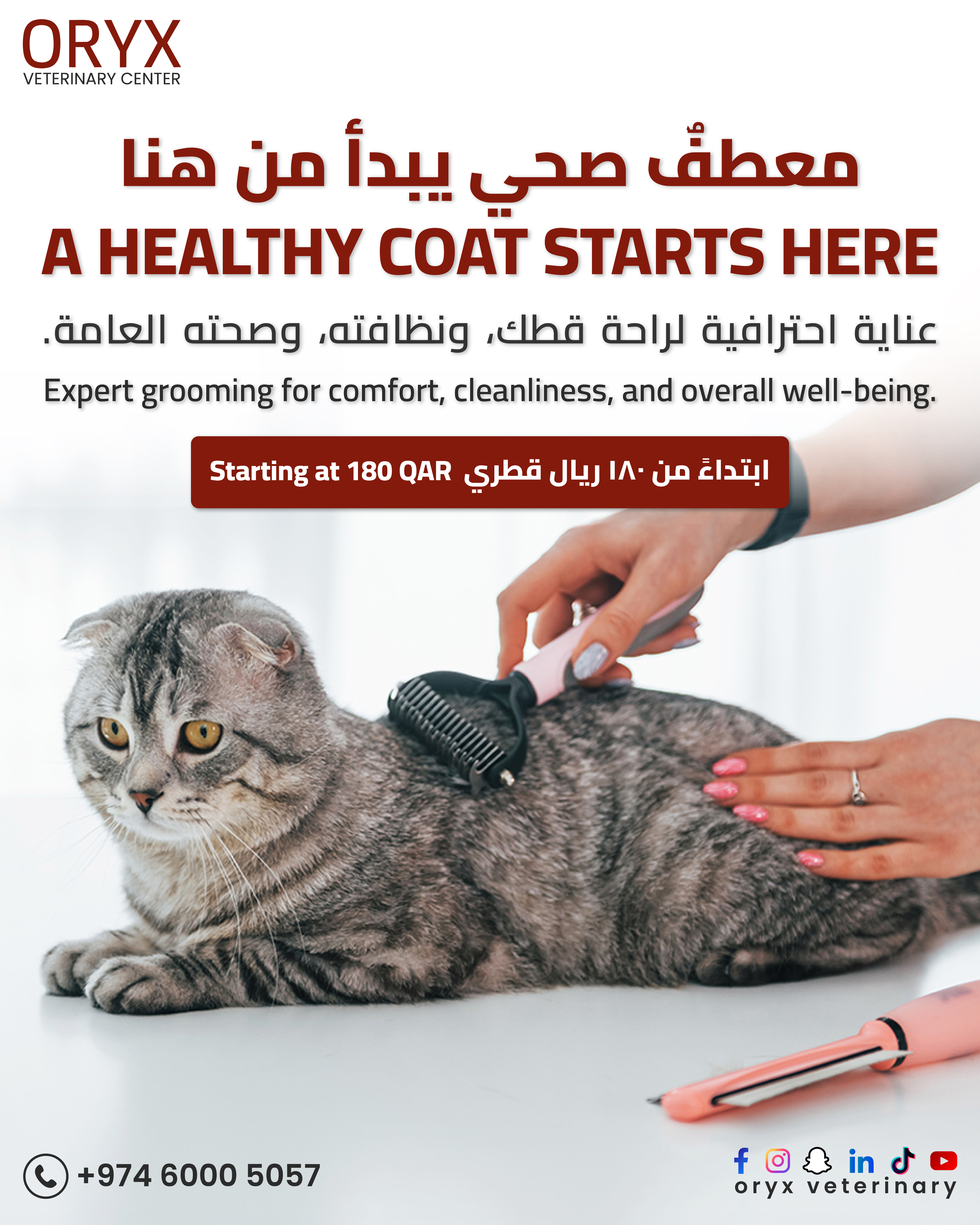 Everything Your Pet Needs, All in One Place | Oryx Veterinary Center - Image 3