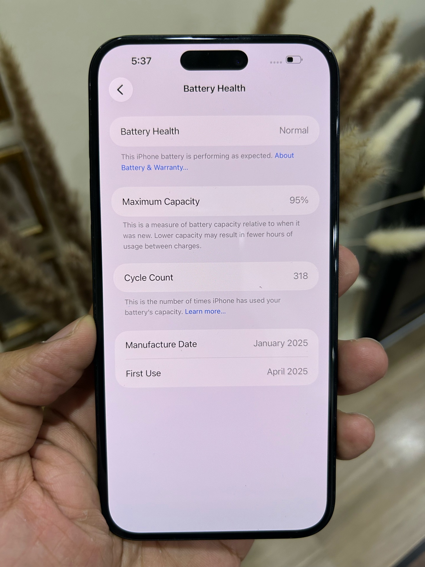 iPhone 16 Plus 256 GB 95% - Image 3
