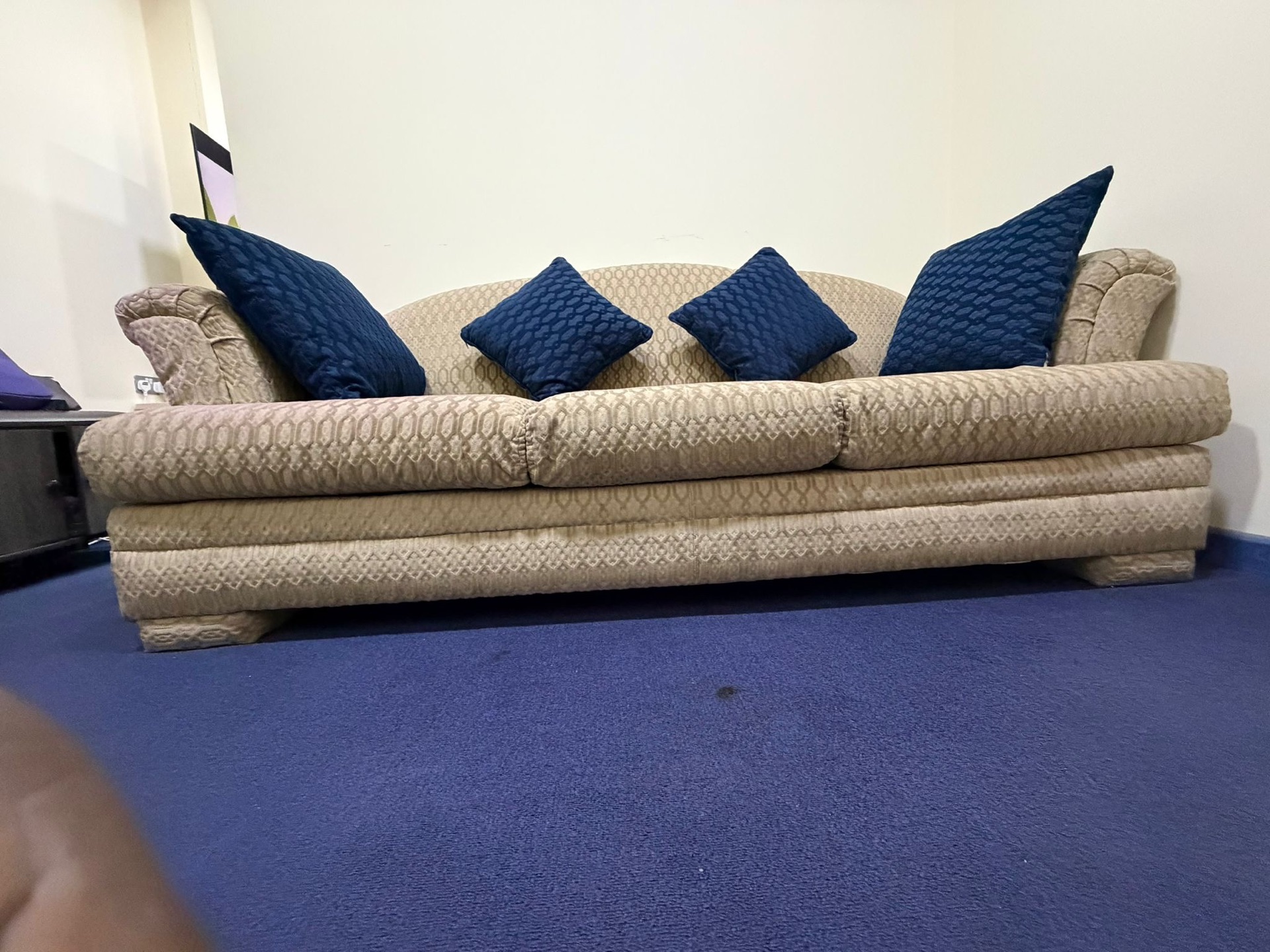 03 seater sofa with pillow - Image 3
