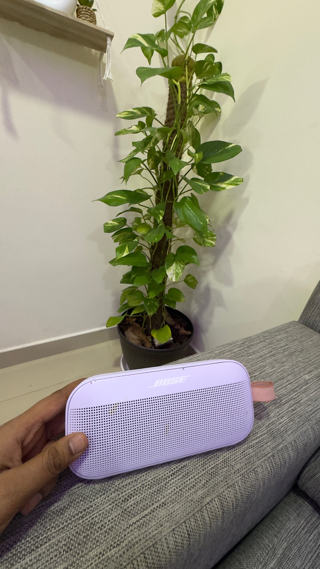 Bose SoundLink Flex 2 Bluetooth Speaker for Sale 🔊 - Image 5