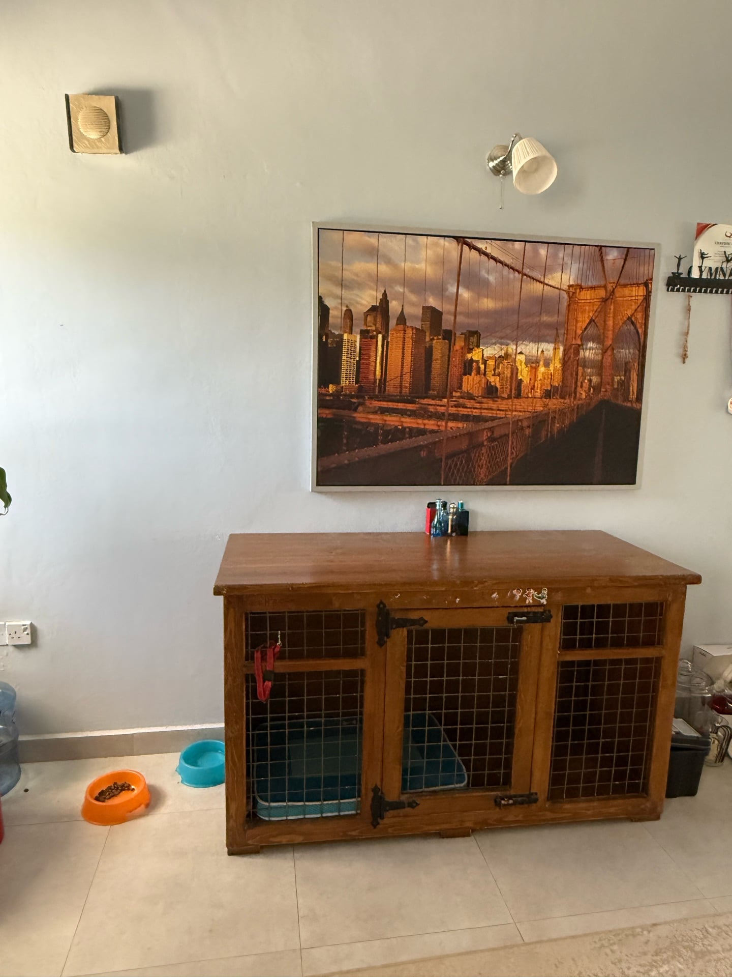 Dog House - Image 1