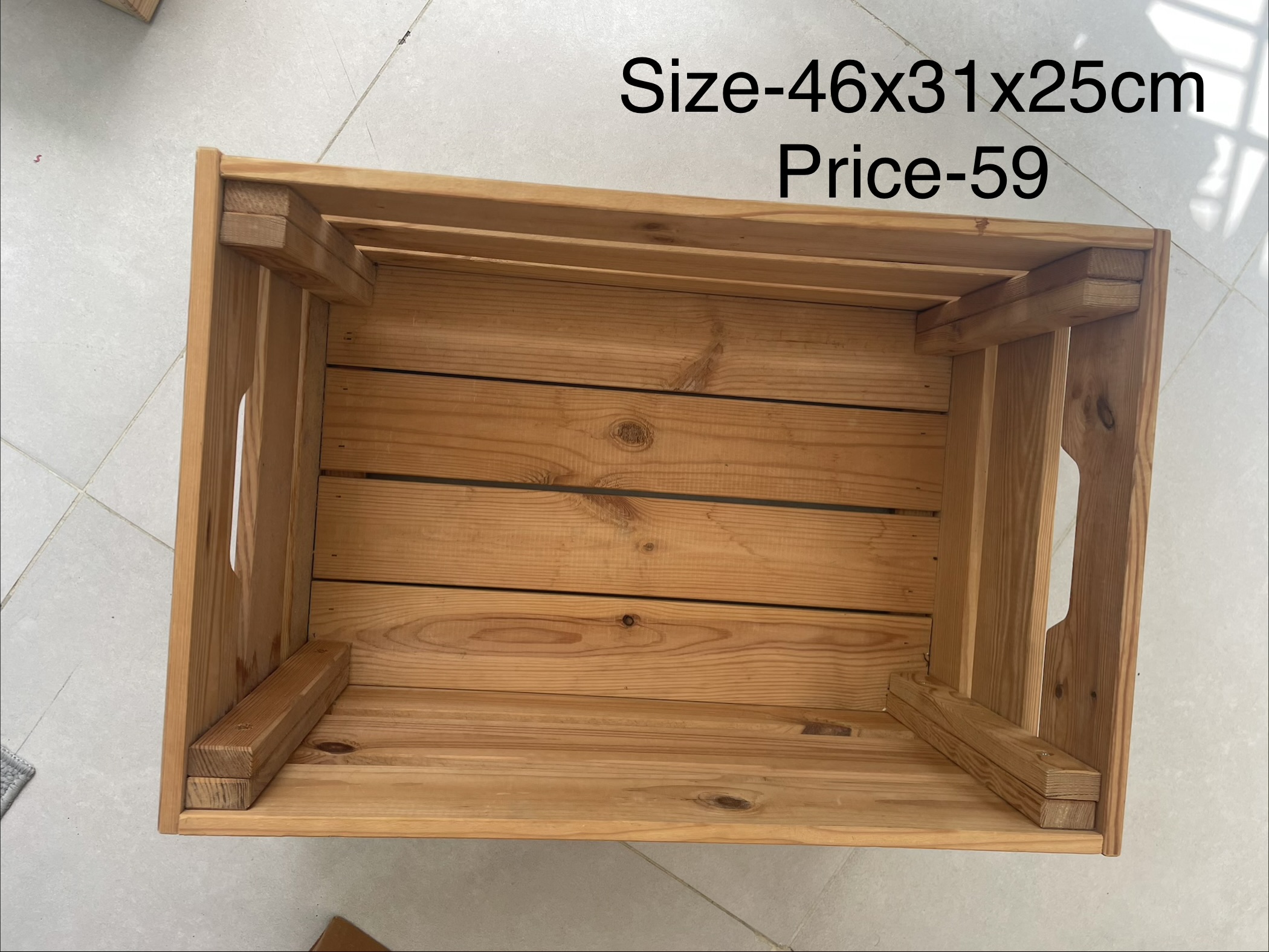 Box pine - Image 1
