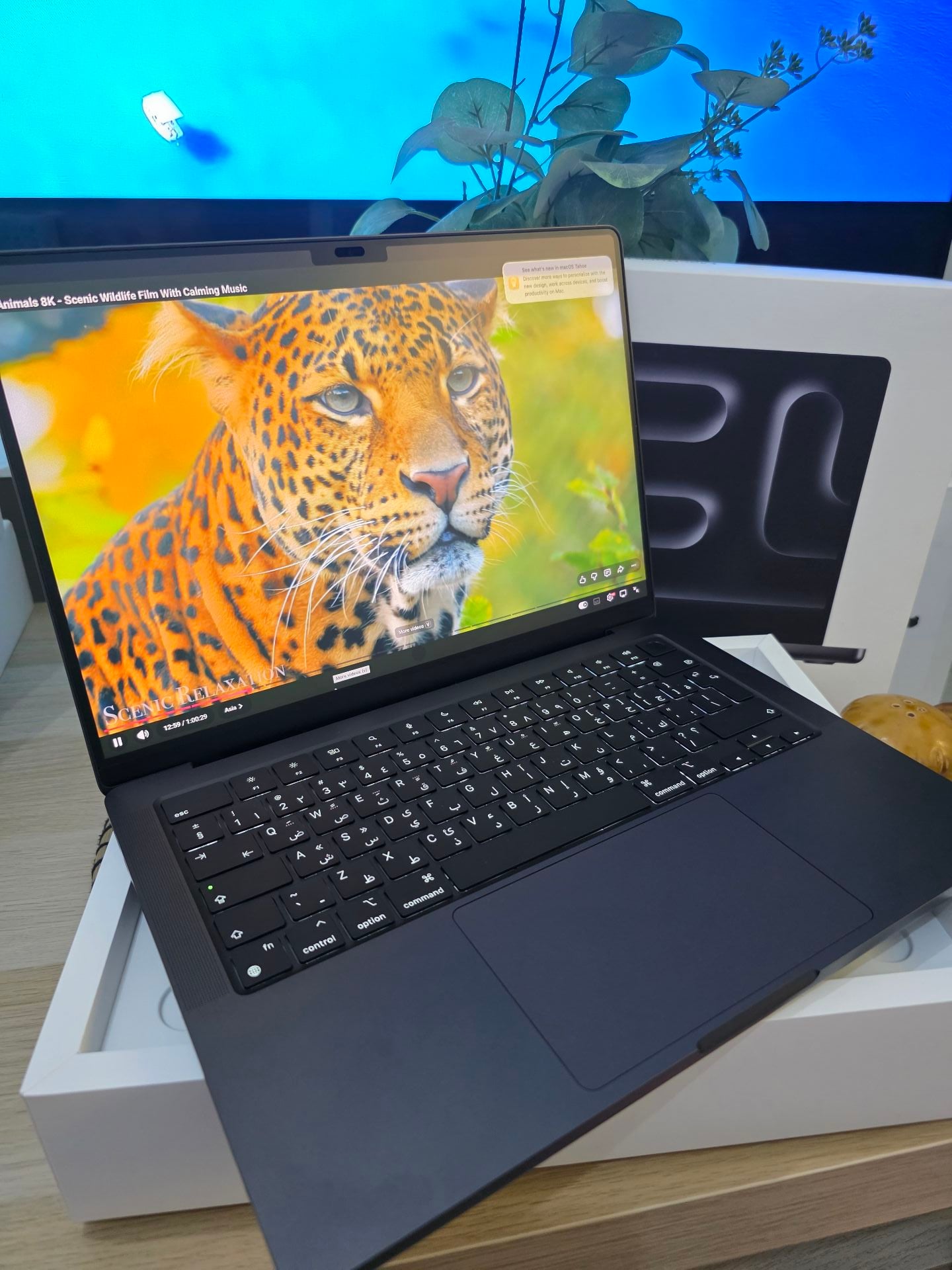 Macbook Pro M4 14 بوصة 16/1TB أسود - Image 5