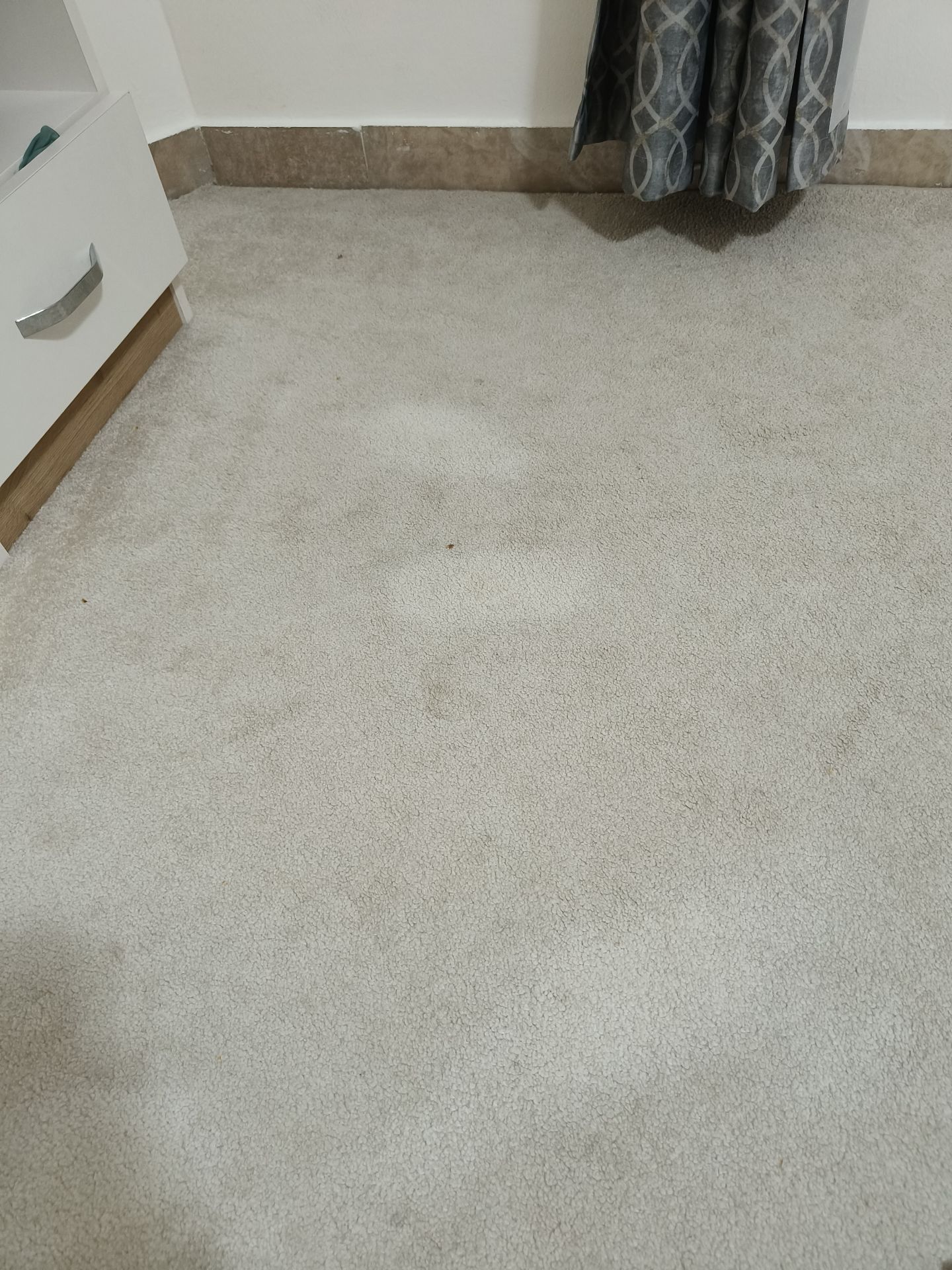 Carpet for sale - Image 2