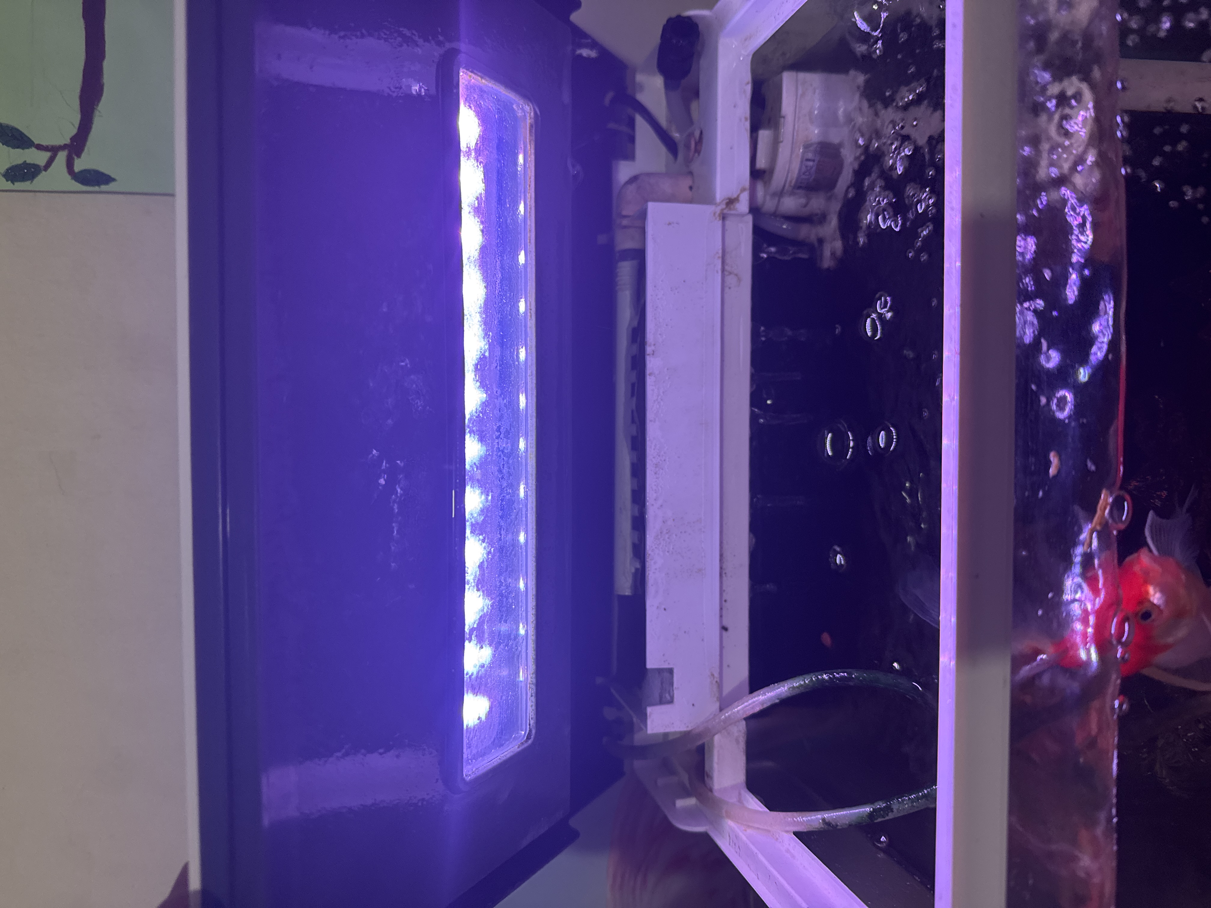 Fish tank  - Image 3