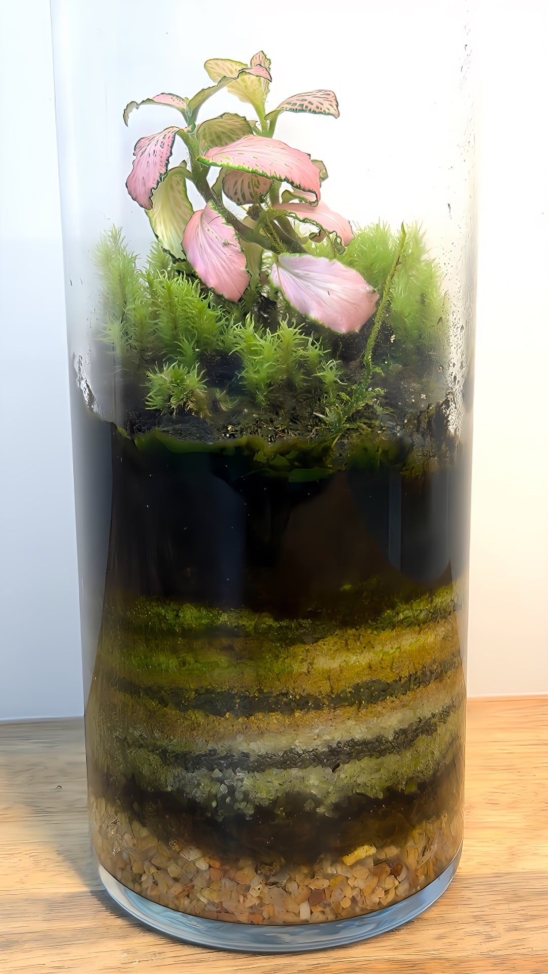 Closed Terrarium  - Image 3