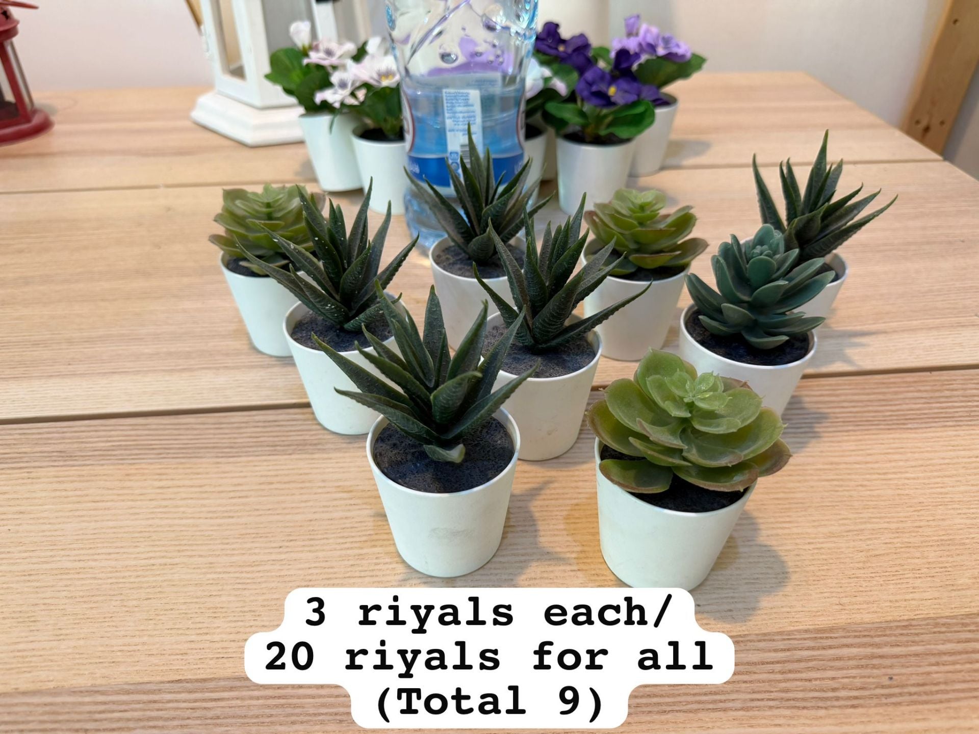 Decoration items flowers and plants - Image 6