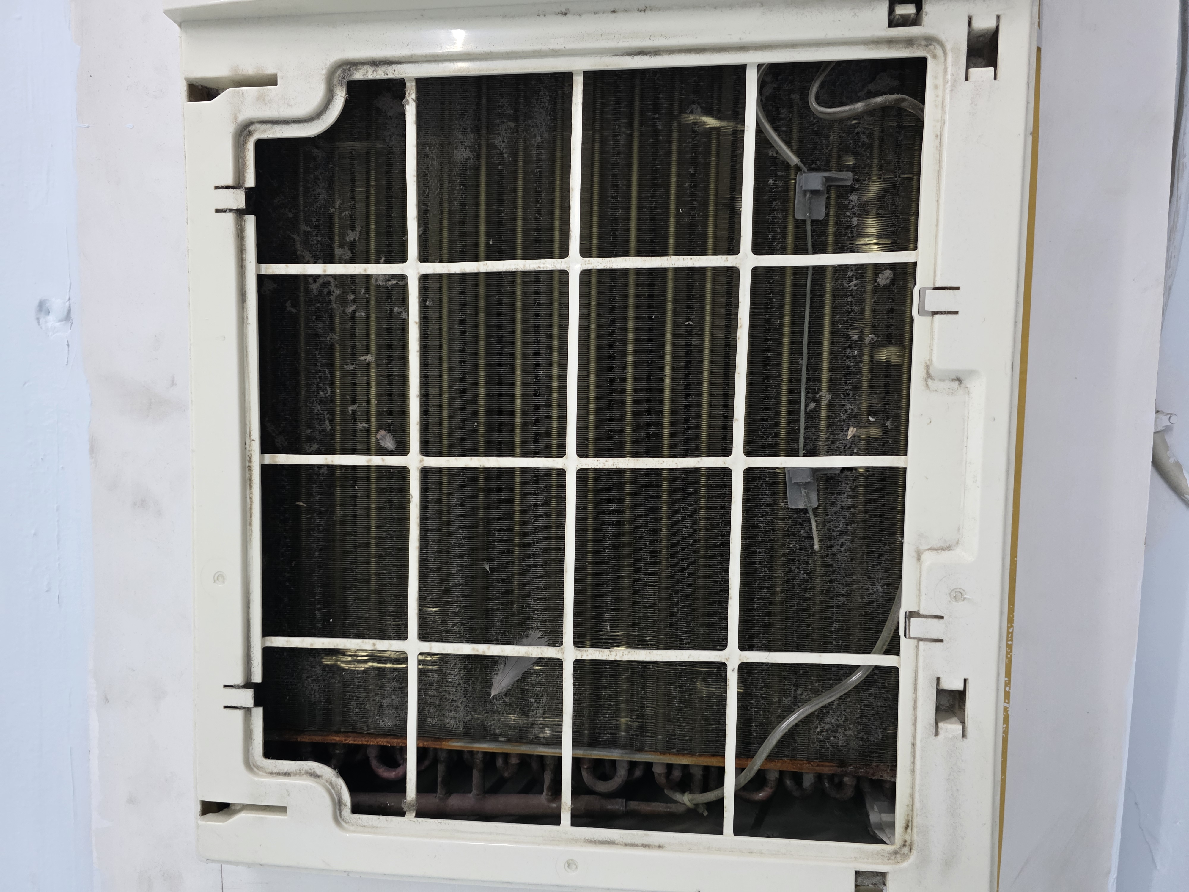 Bluestar and Aftron Window AC - Image 3