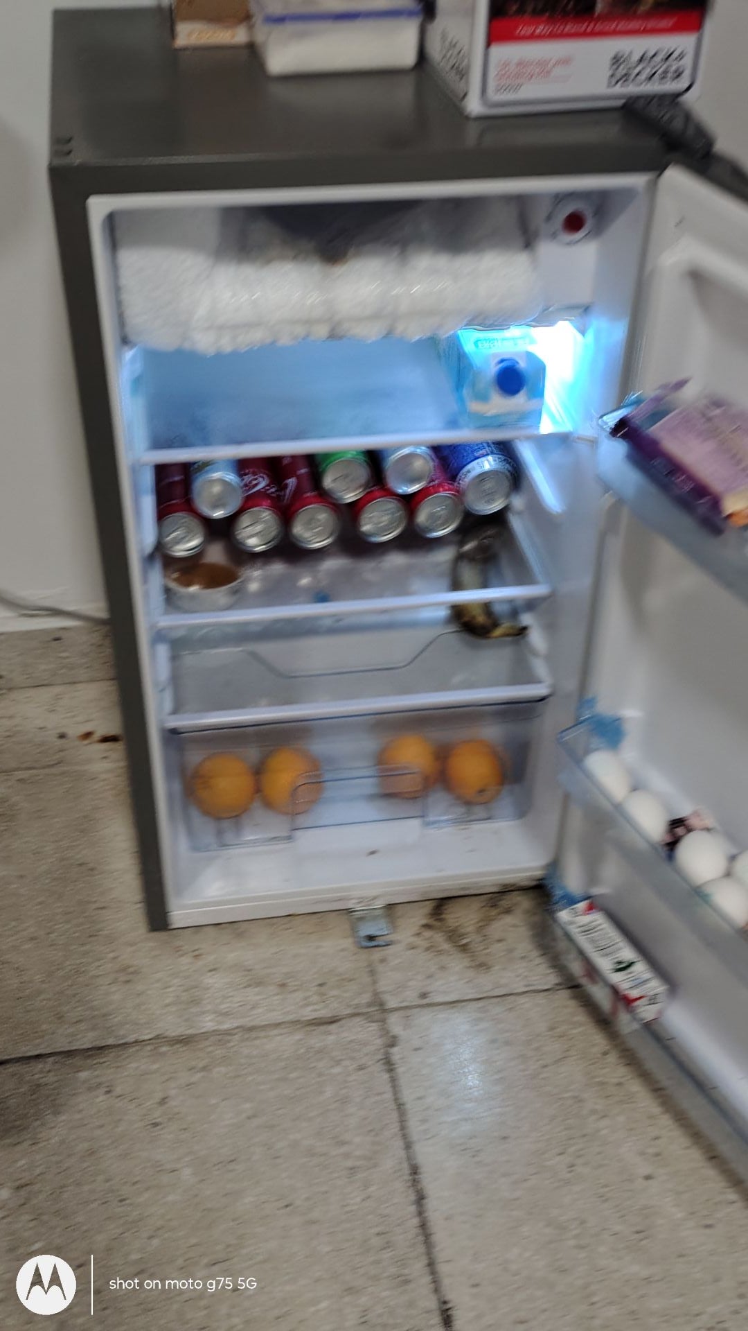 Olsenmark 110L Refrigerator – Compact, Efficient, and Reliable - Image 6