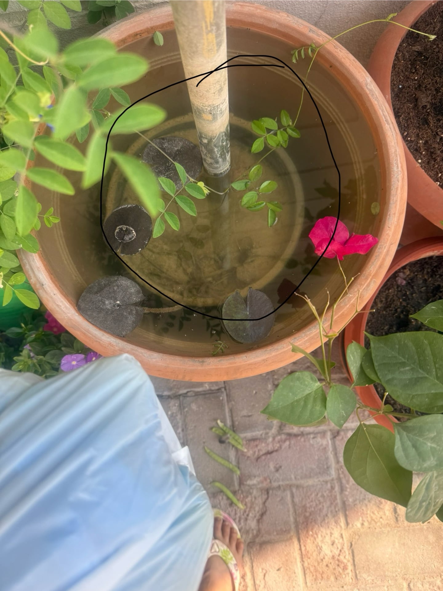 Plant stand - Image 5