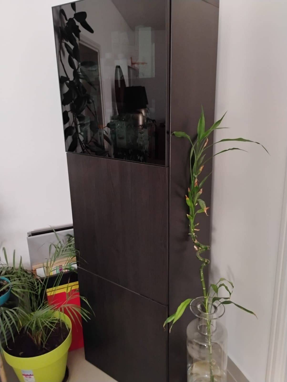 Closet and Shelves - Image 5