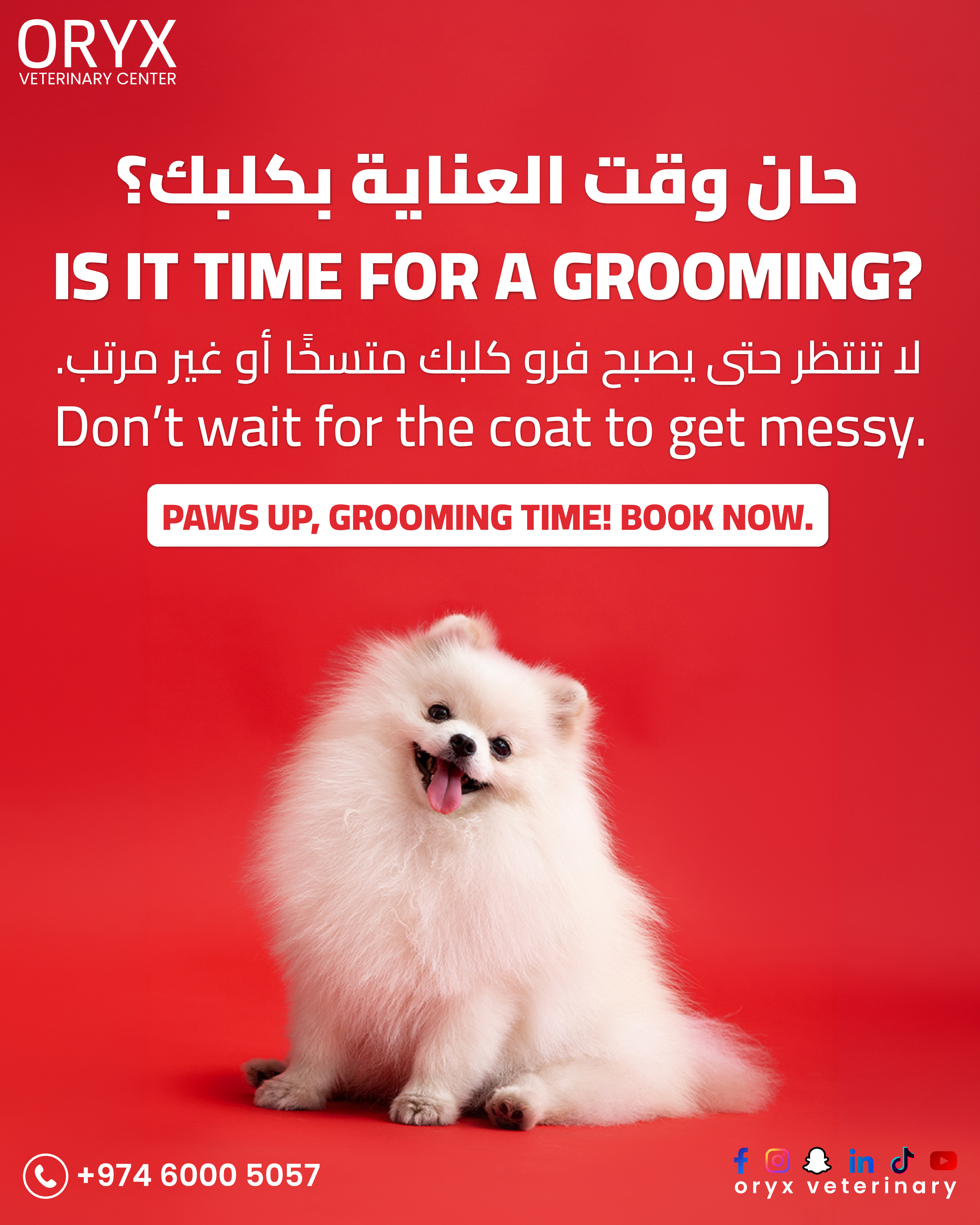 Everything Your Pet Needs, All in One Place | Oryx Veterinary Center - Image 4