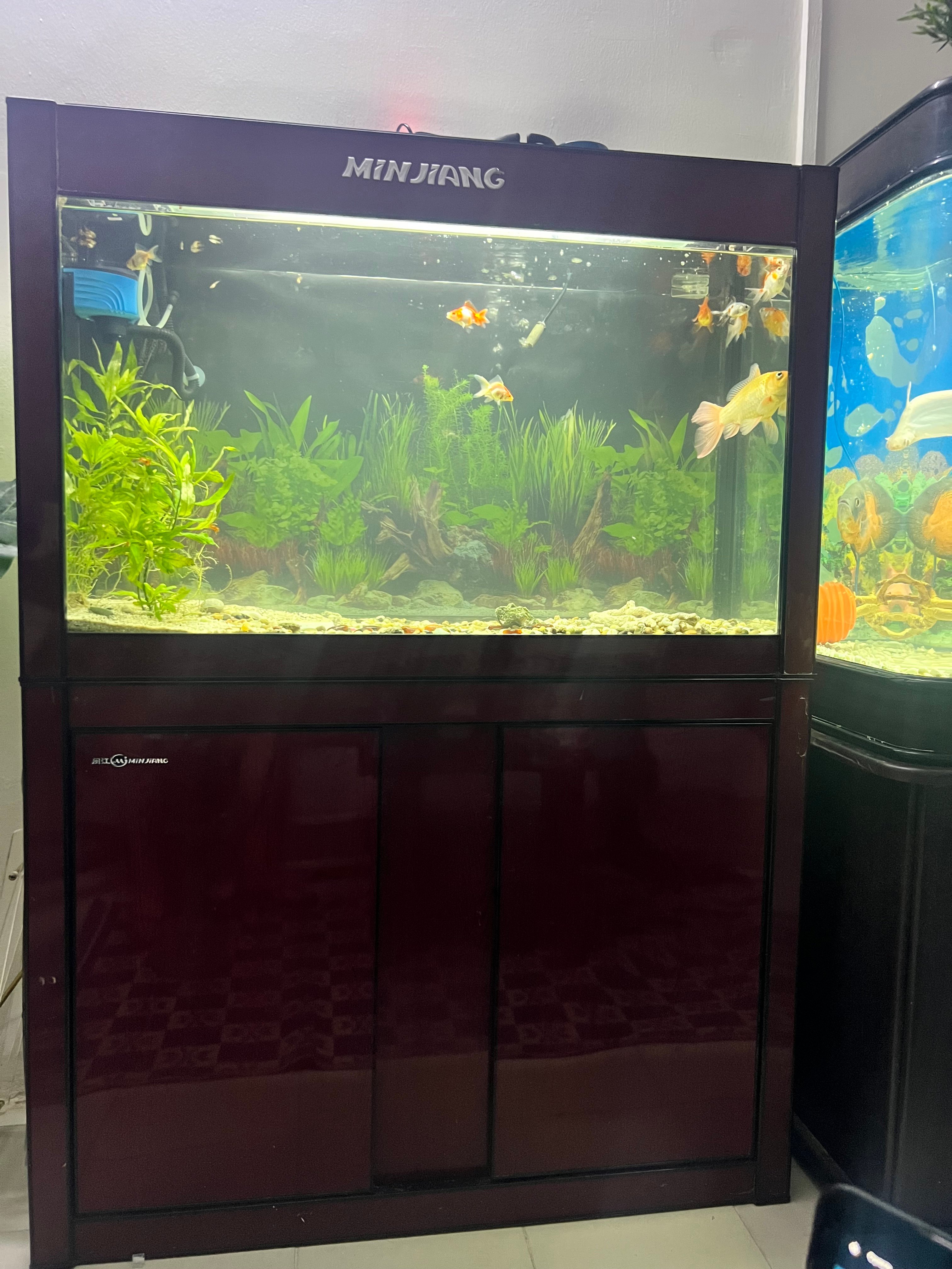 Aquarium full set - Image 1