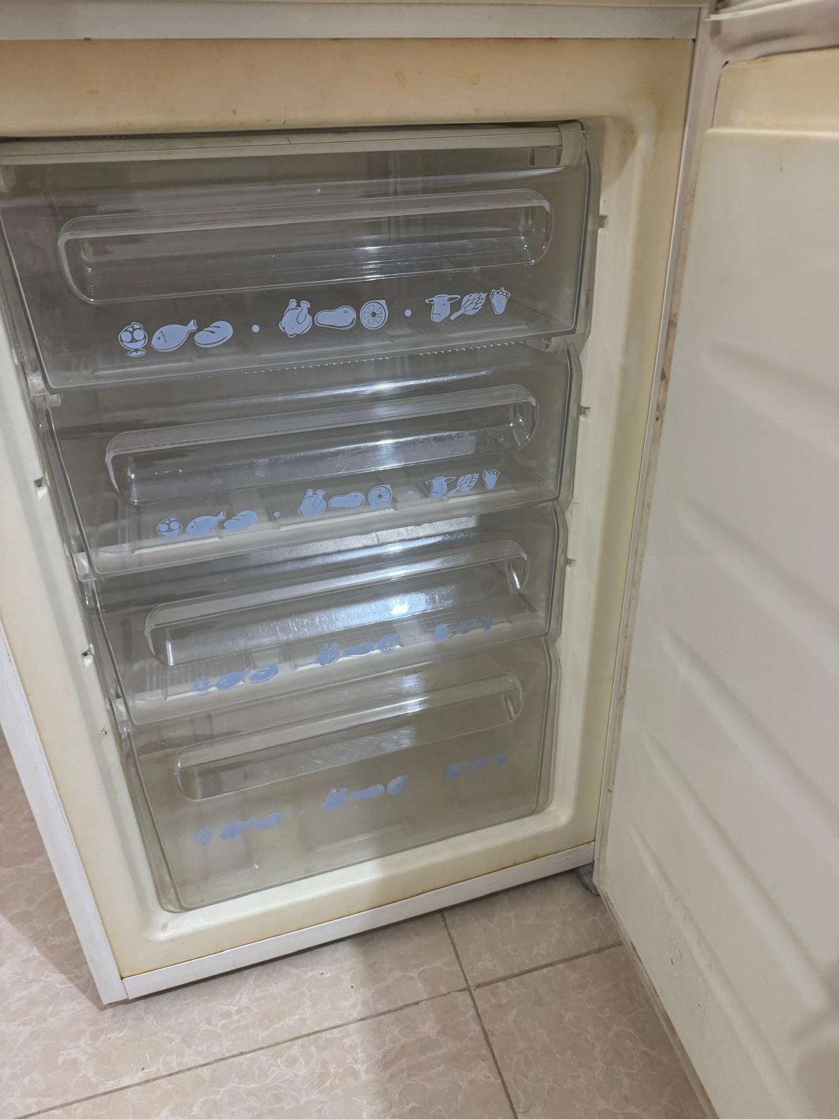 Stand Freezer - Image 3