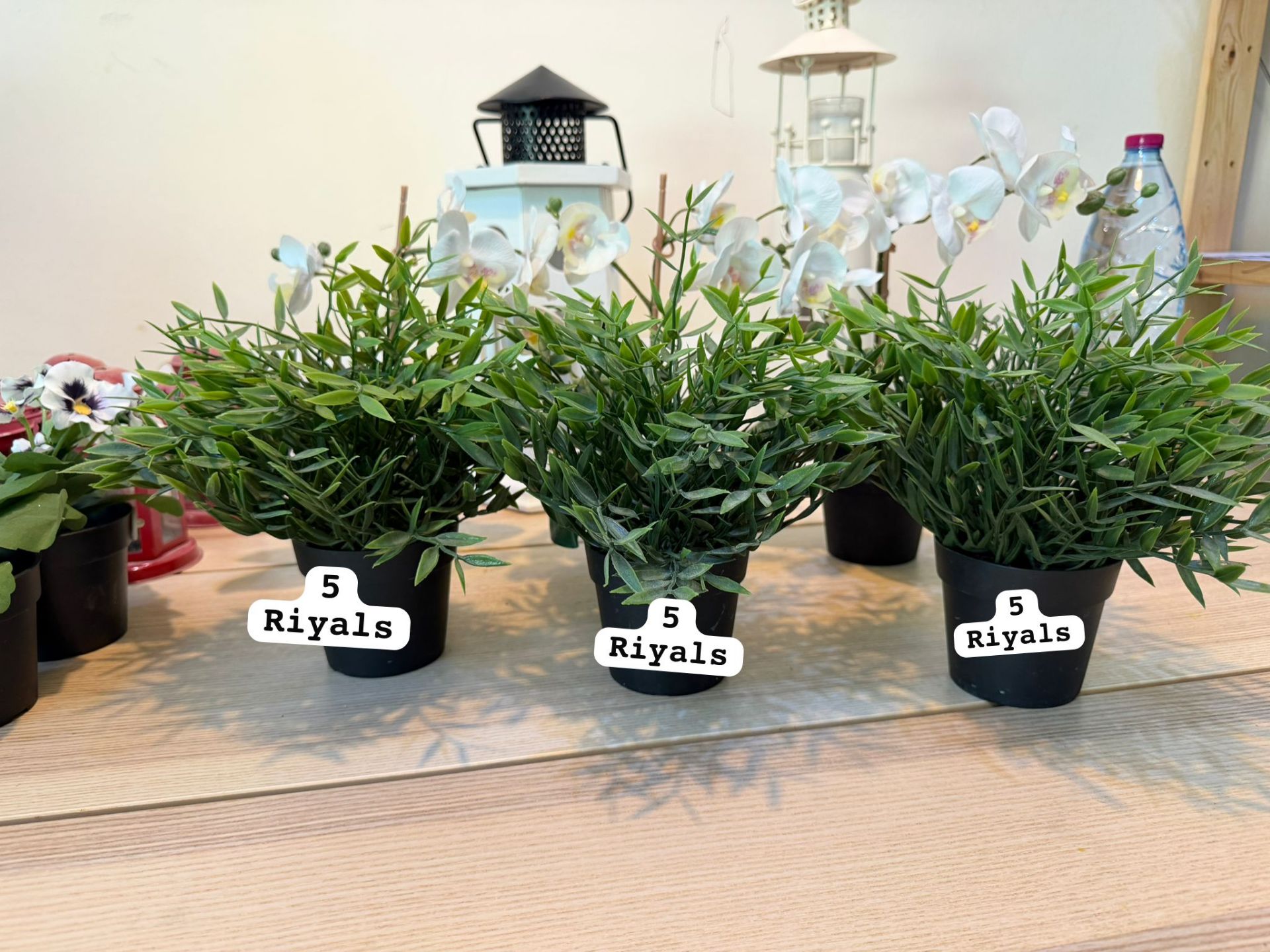 Decoration items flowers and plants - Image 9