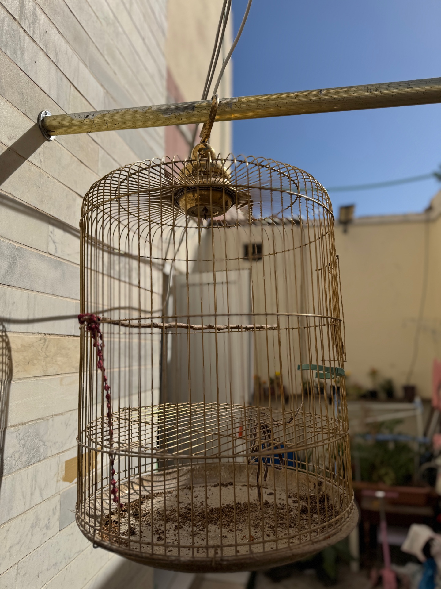Birds cage  - Image 4