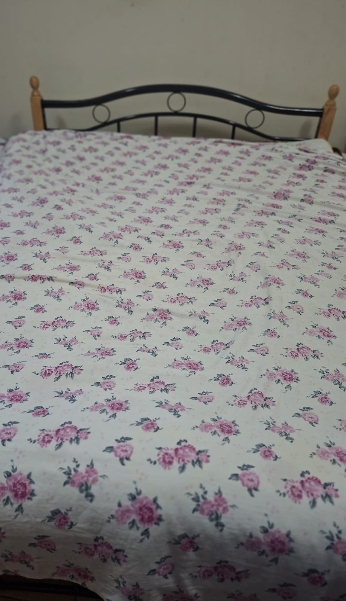 Steel wood Cot and spring mattress - Image 1