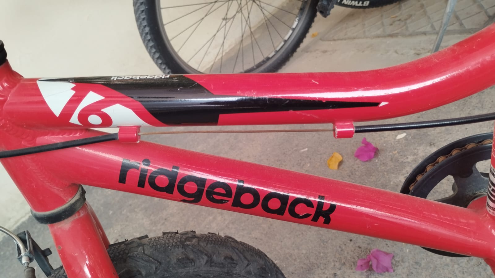 UK made Flagbike (ridgeback) kids bicyle for sale  - Image 5