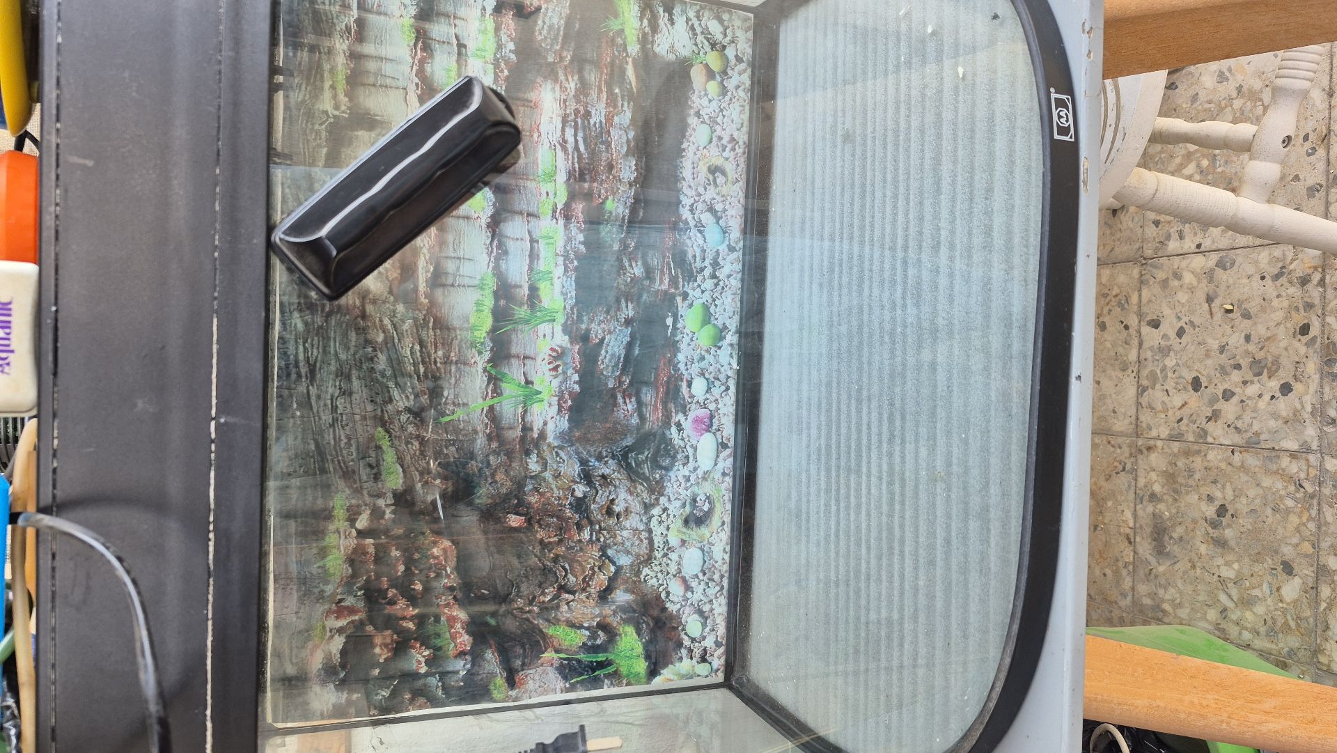 Fish aquarium  - Image 3