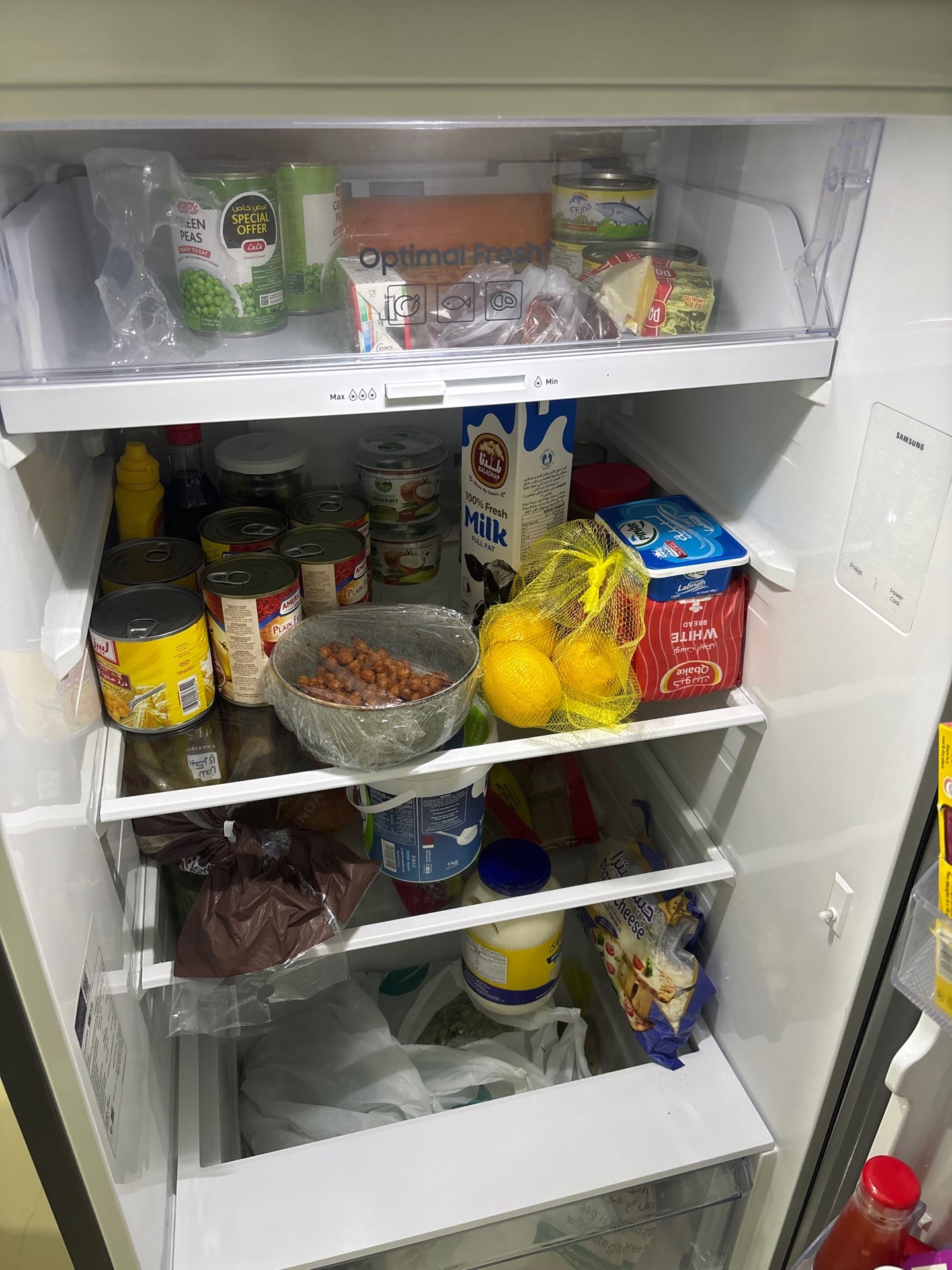 Samsung 450 L Fridge - Image 4