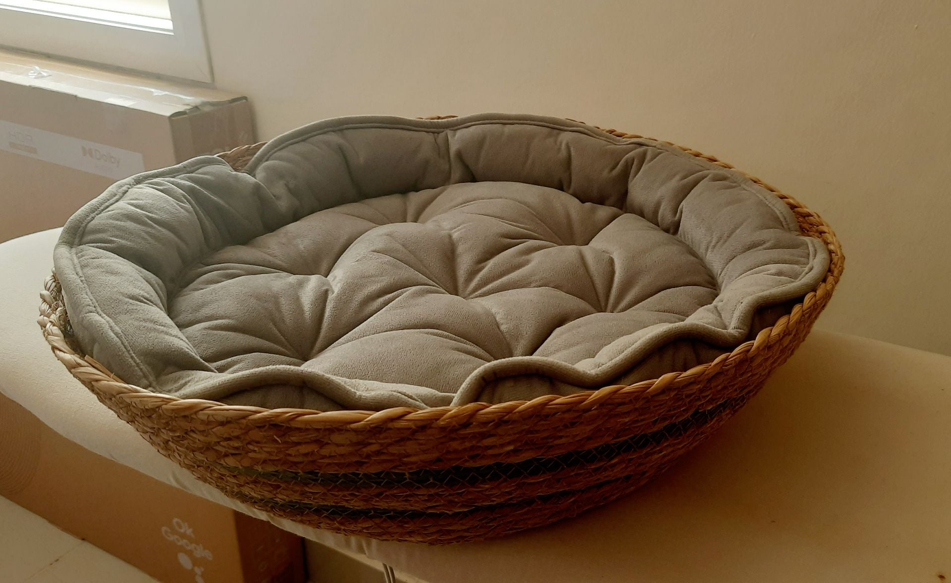 cat bed (brand new) - Image 1