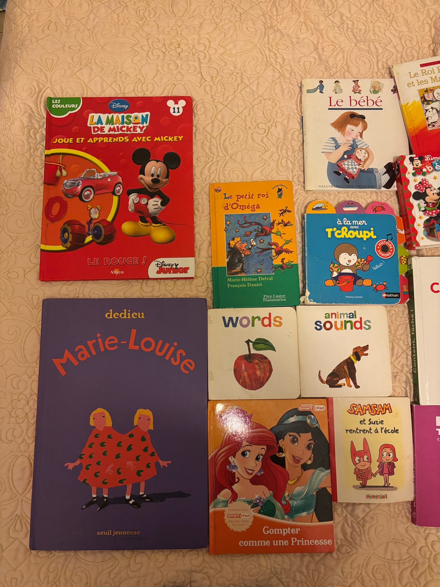 FRENCH CHILDREN’S BOOKS FOR SALE – GREAT DEALS!  LIVRES POUR ENFANTS EN FRANÇAIS - Image 5