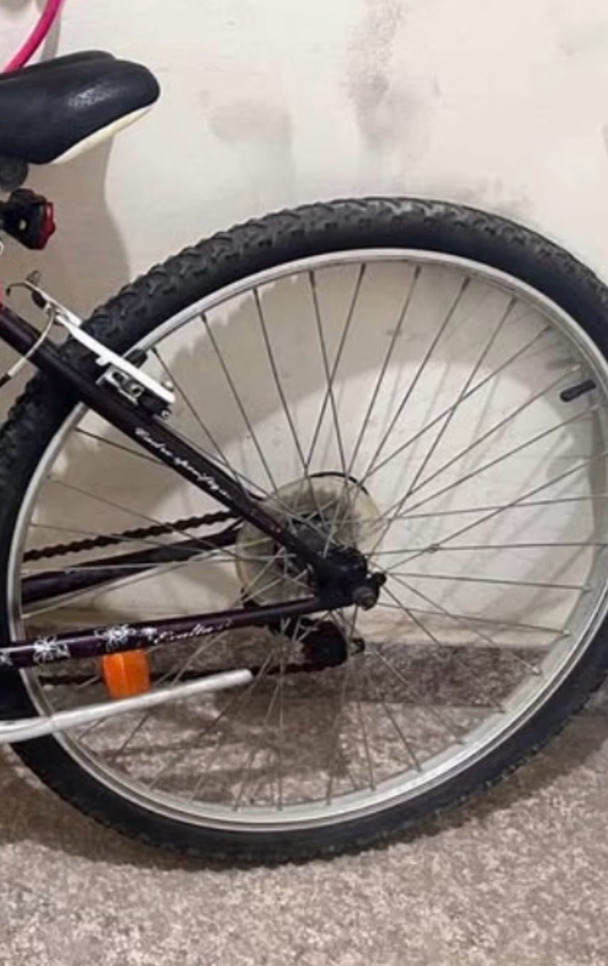 French made Female cycle with gear  - Image 4