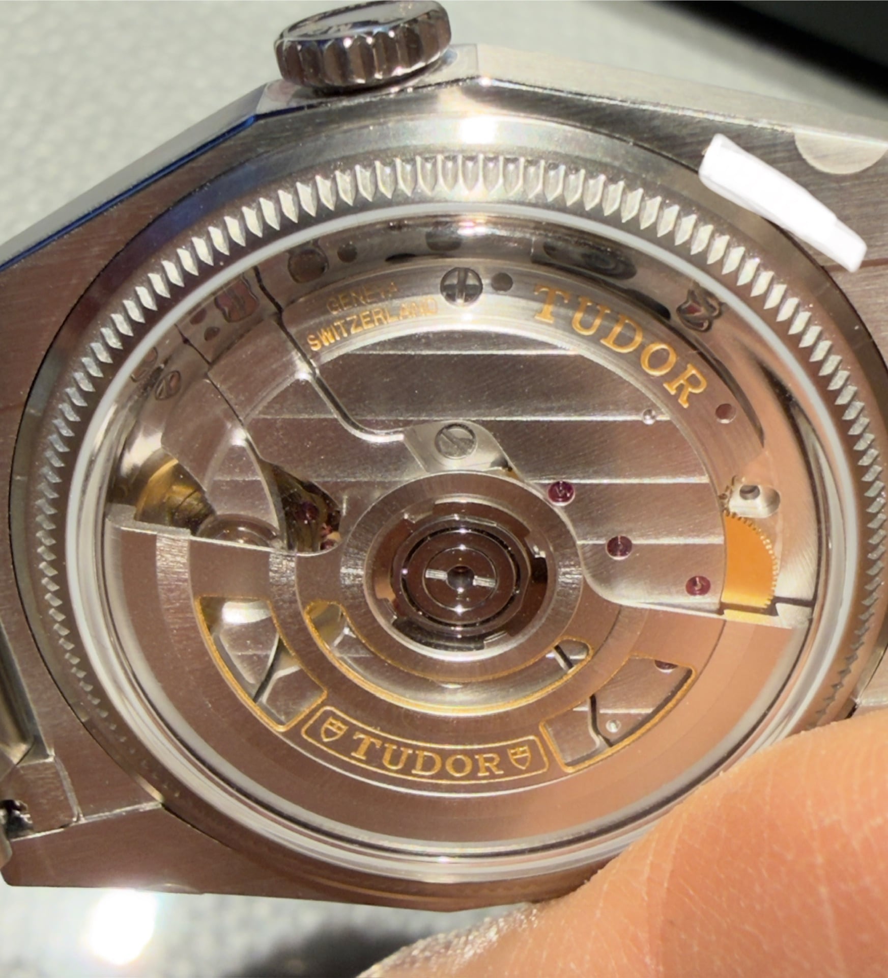 Brand New Tudor Monarch - Image 3