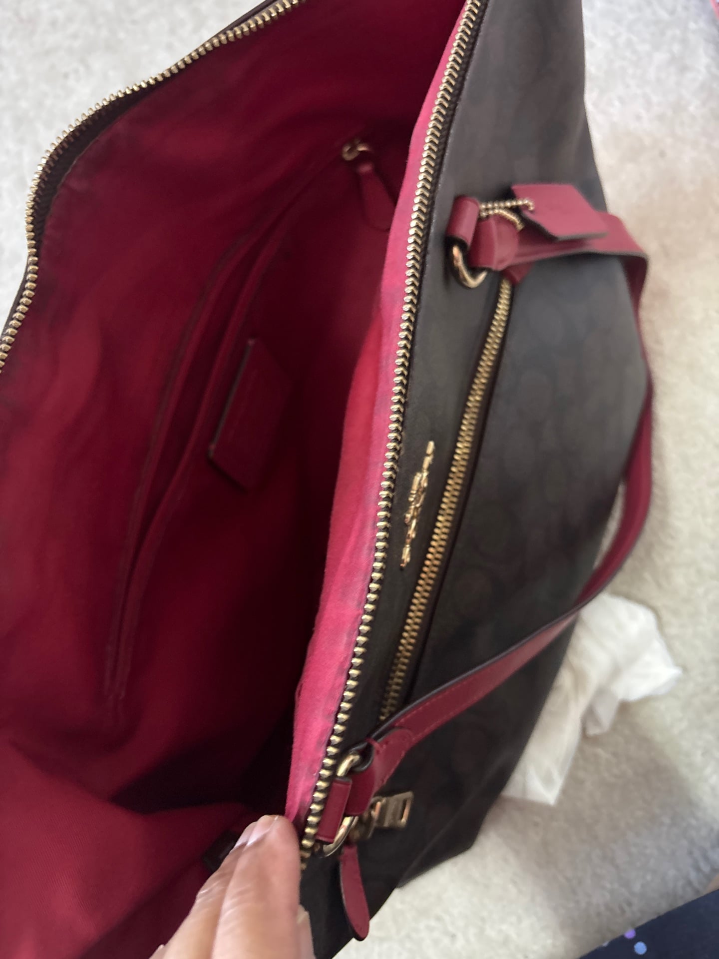 Coach and dkny  - Image 6