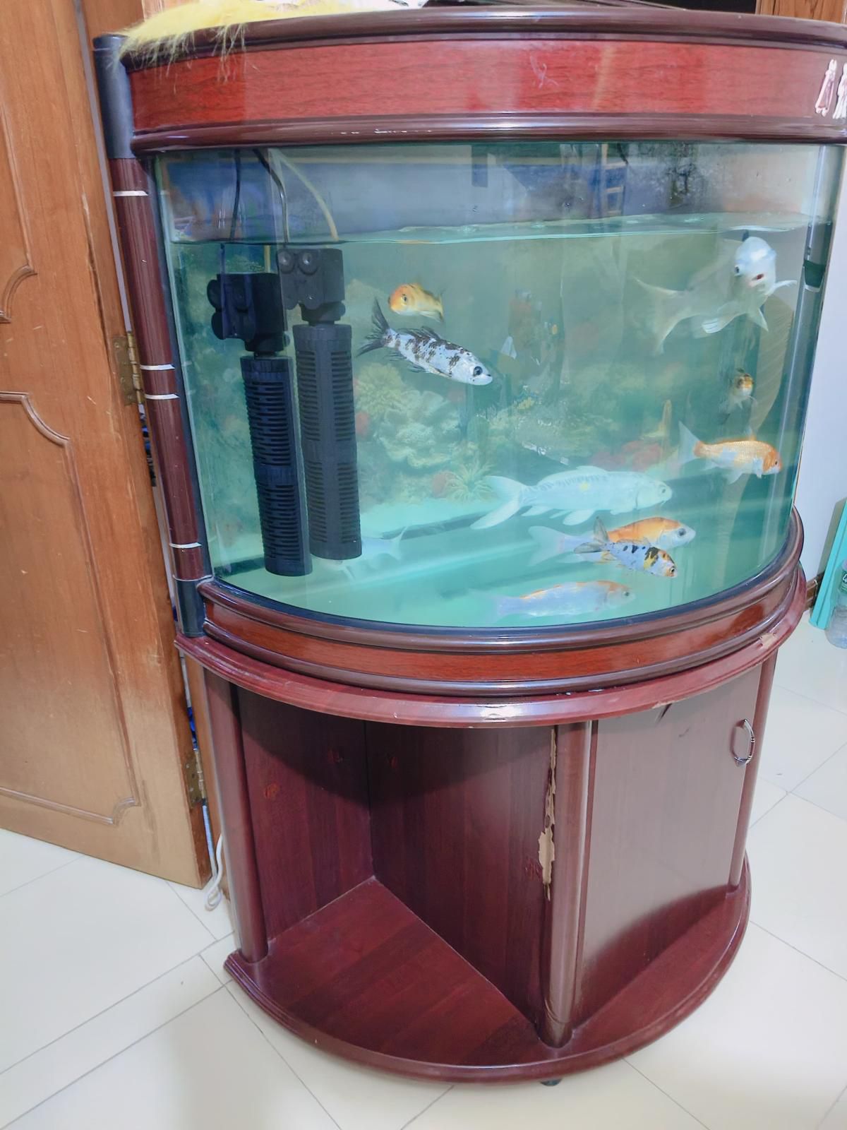 Aquarium with fish  - Image 5