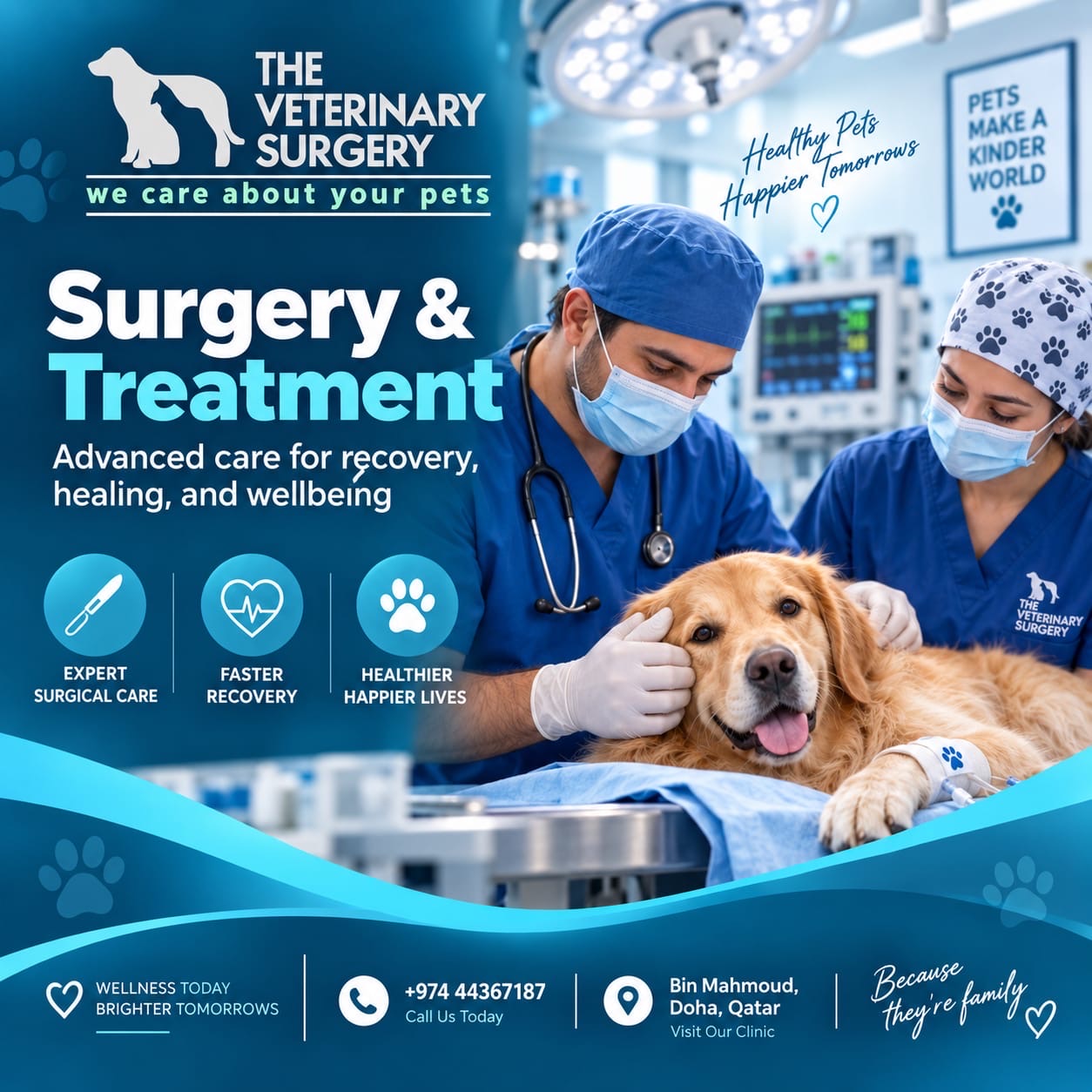 Doha Pet Services – Trusted Pet Care in Doha