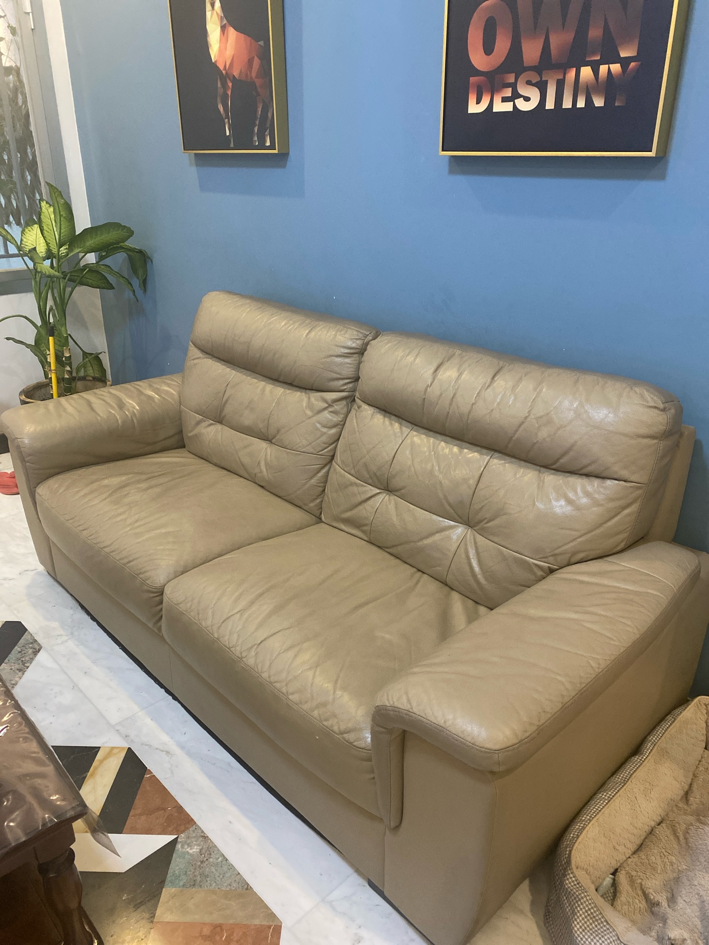 Sofa Set (1, 2, and 3-seater) - Image 4