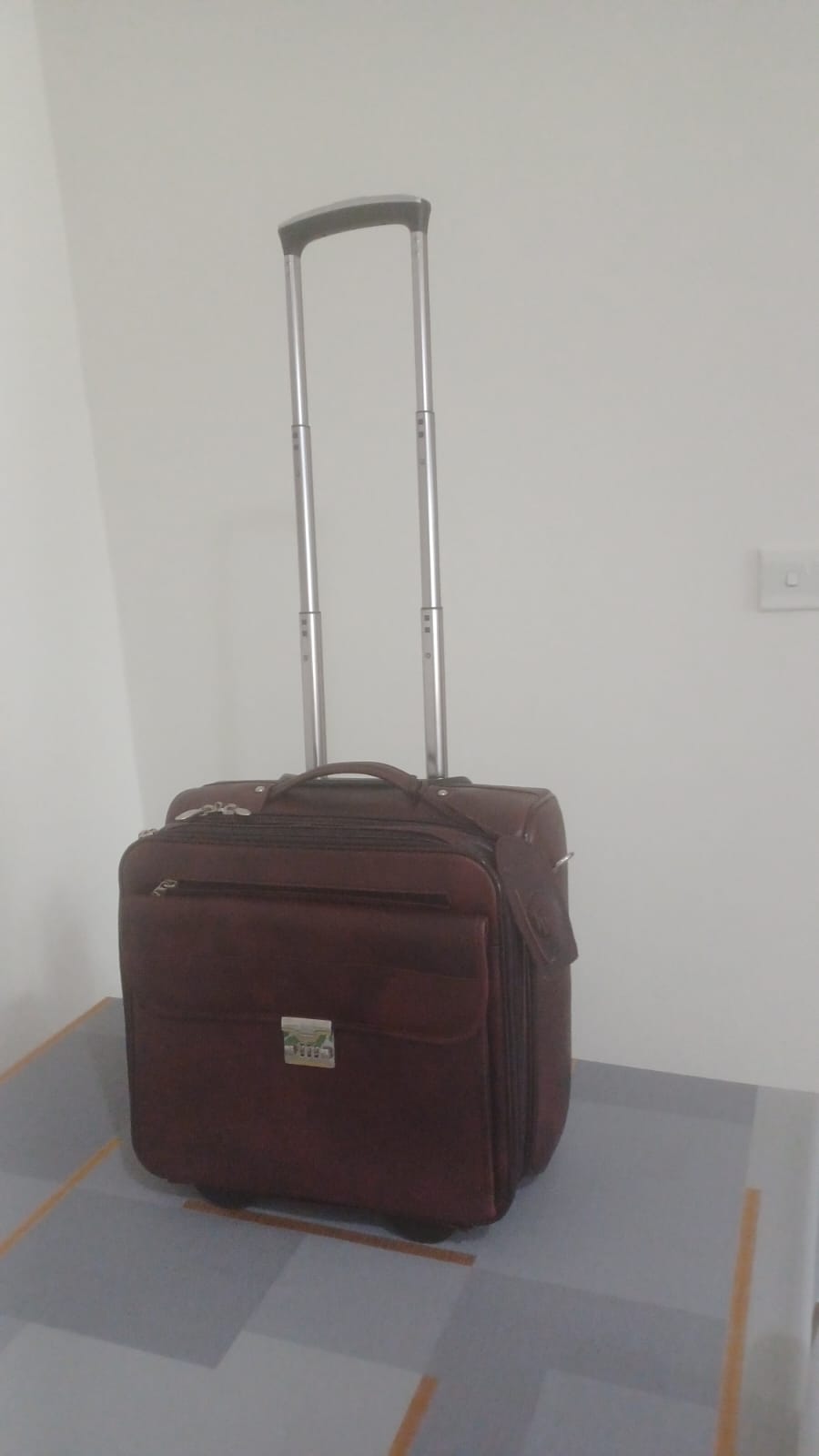 Executive trolly bag (Pure Leather) - Image 1