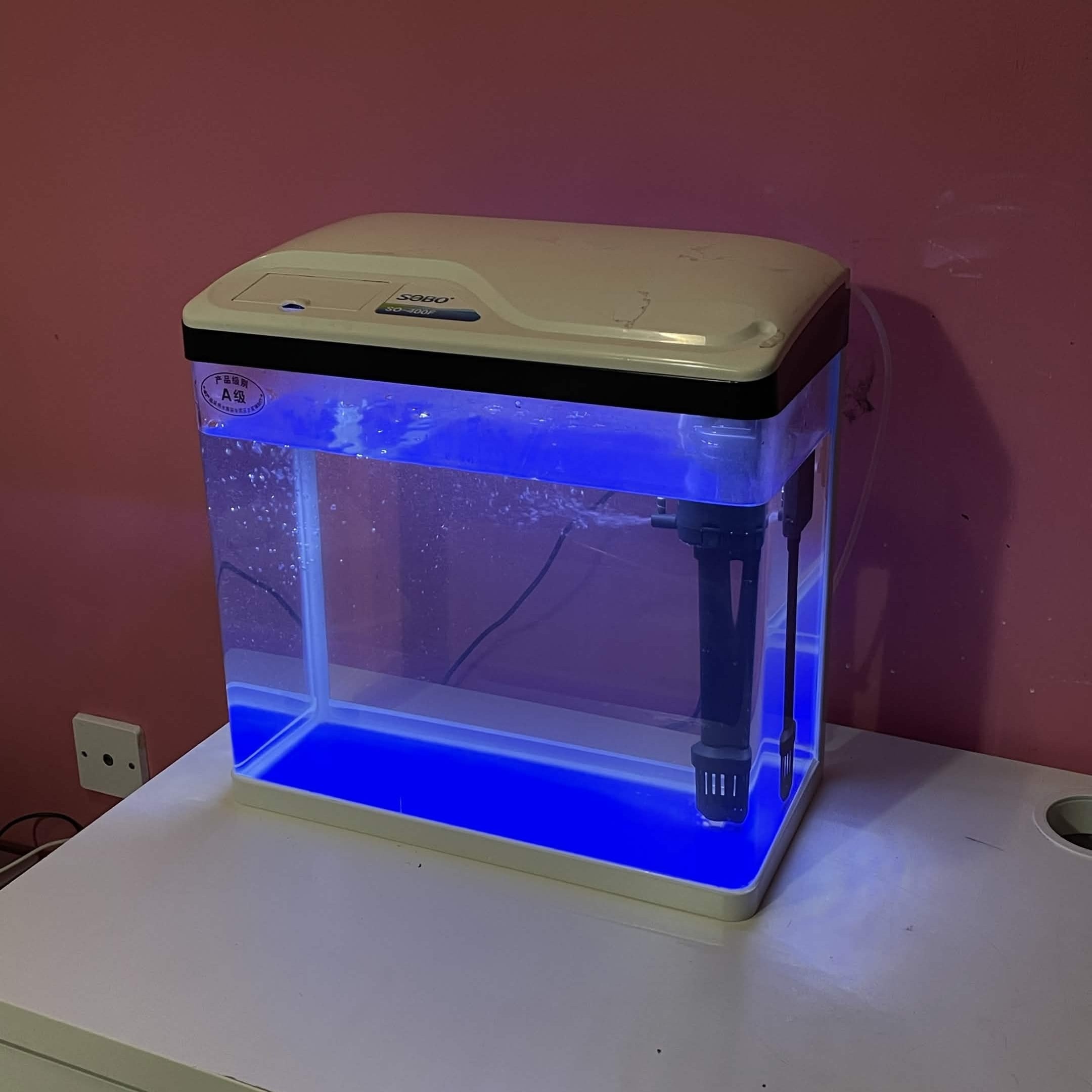 19 Liter/5.1 Gallon Fish Tank - Image 1