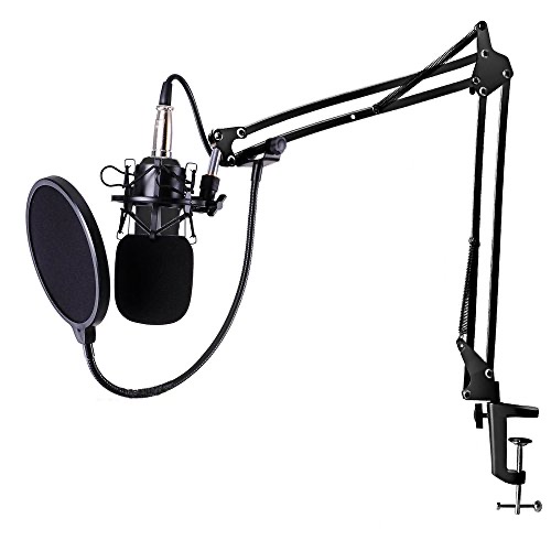 Zingyou mic set for sale  - Image 2