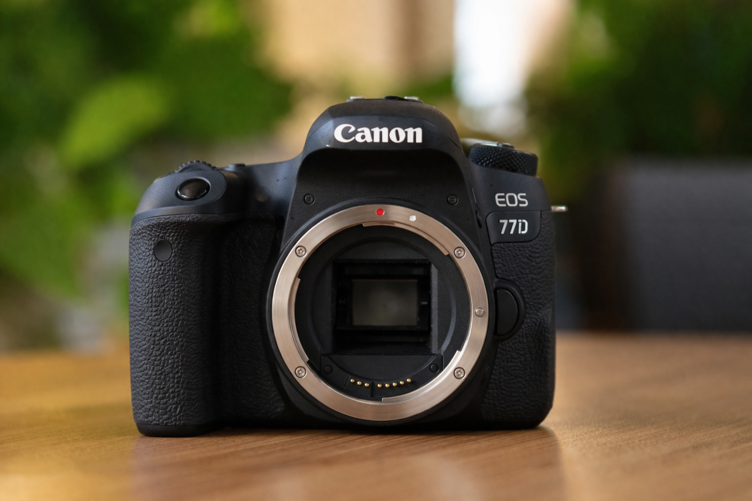 CANON 77d with 50mm - Image 1