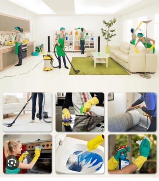 Cleaning and Pest control Services - Image 3