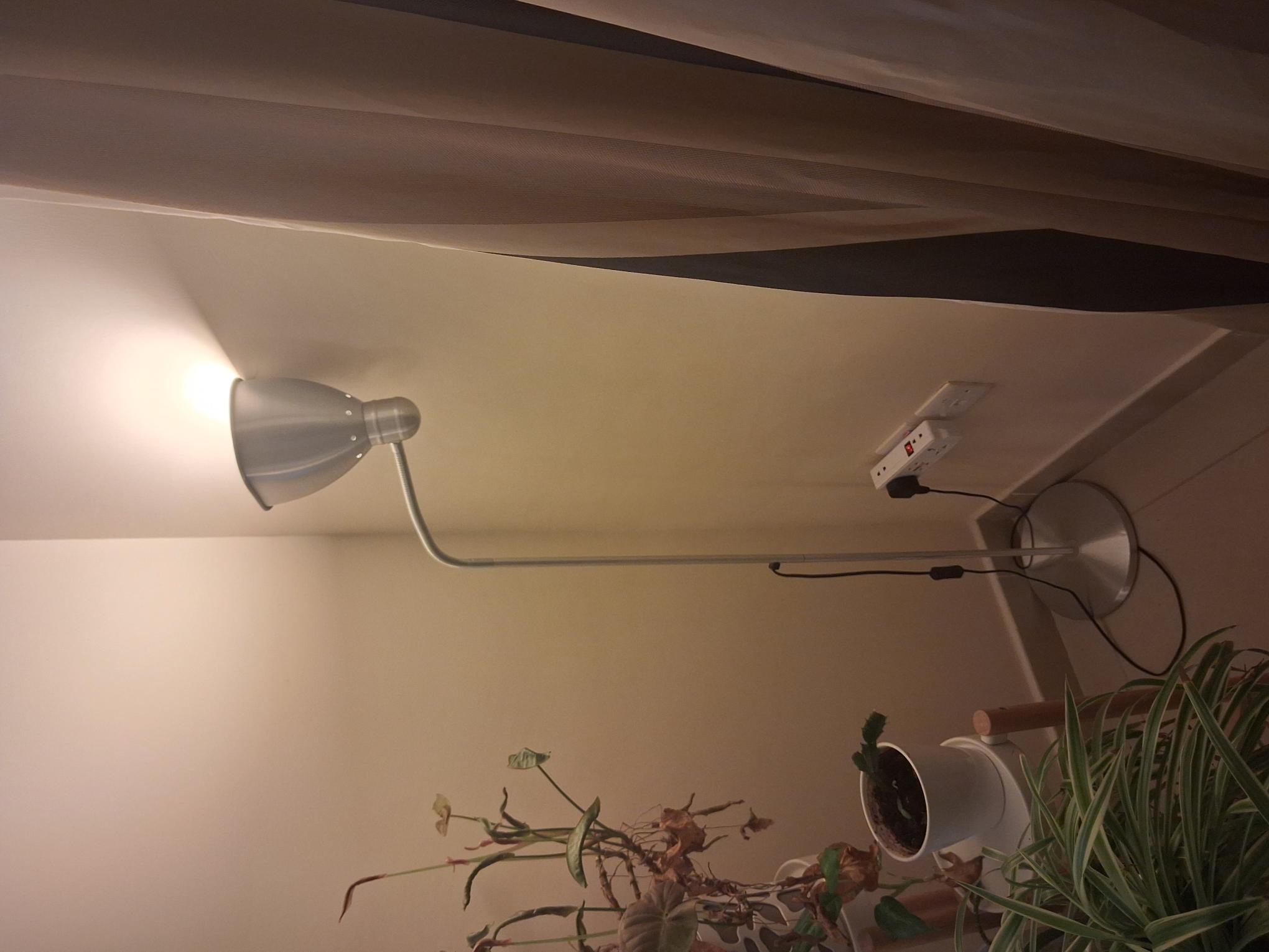 High foot lamp - Image 1
