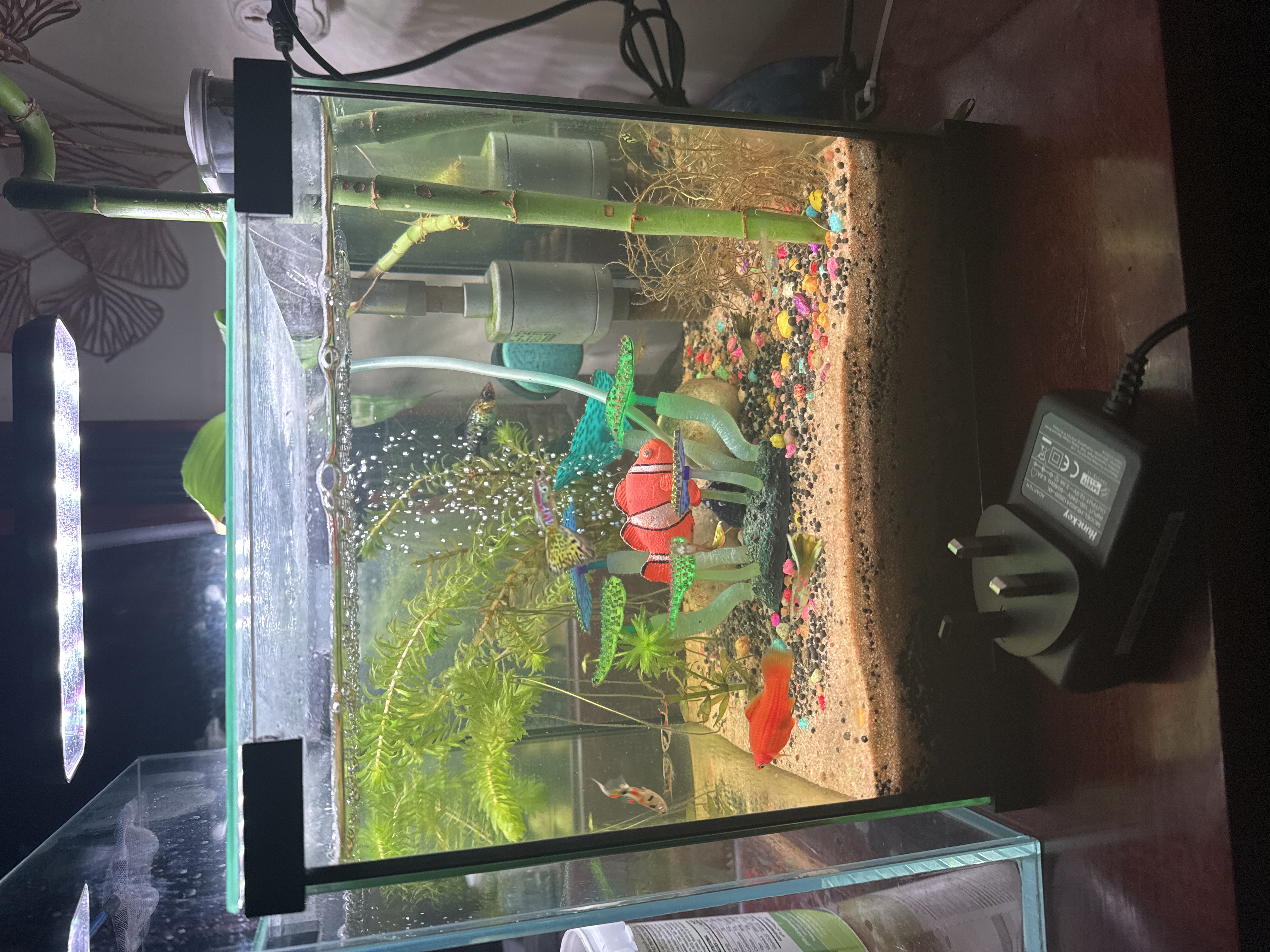 Clear glass fish tank - Image 6
