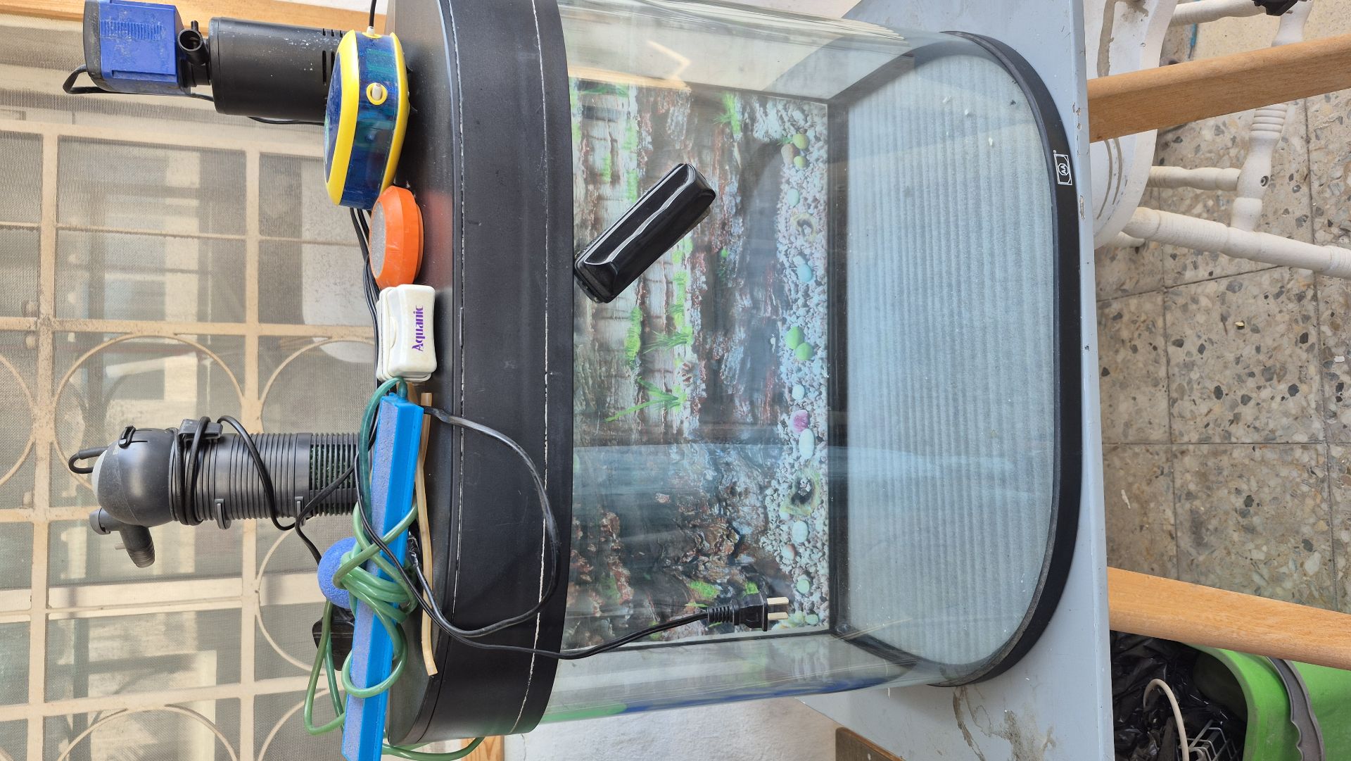 Fish aquarium  - Image 5