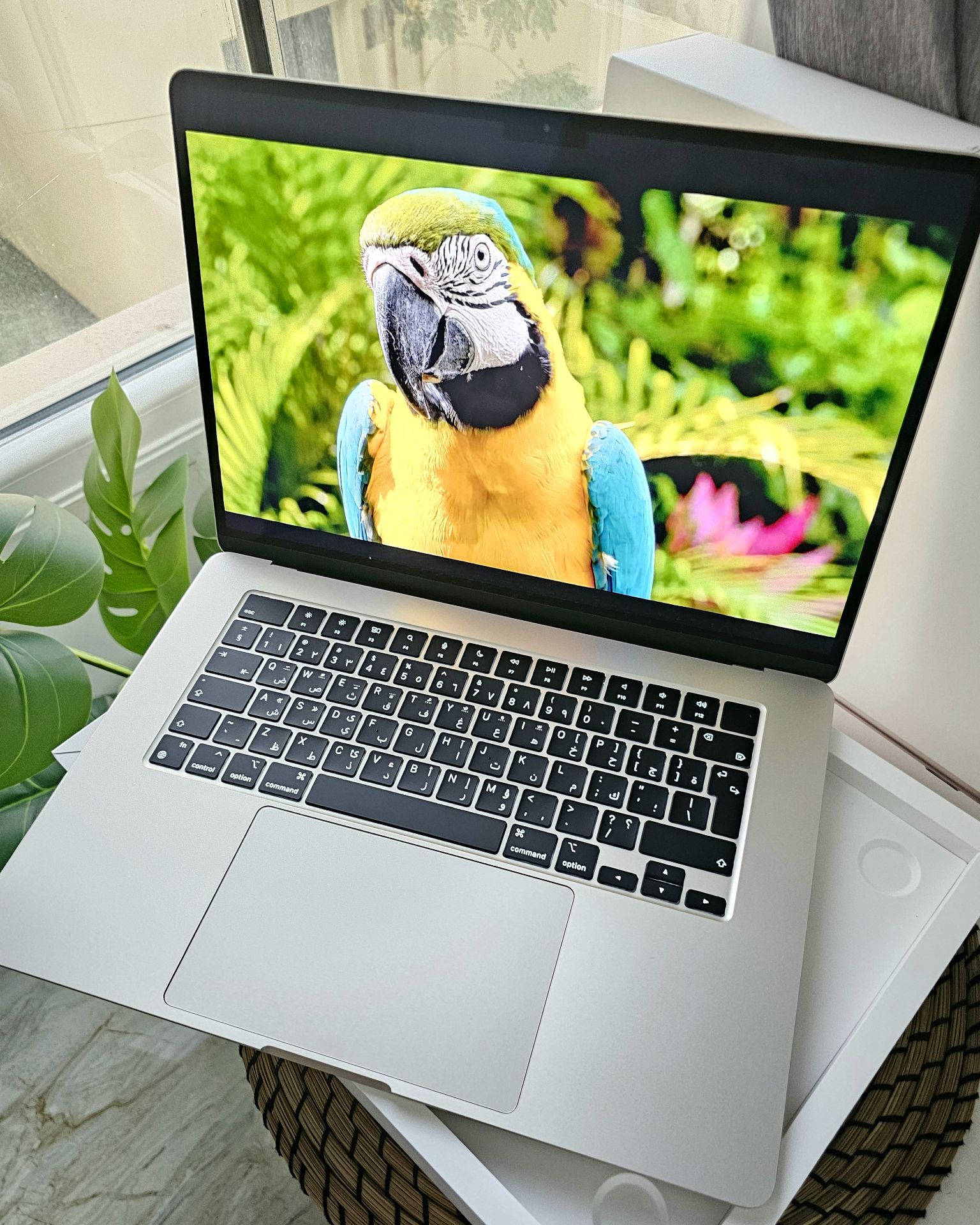 15" Macbook Air M3 8/512Gb Starlight  - Image 6