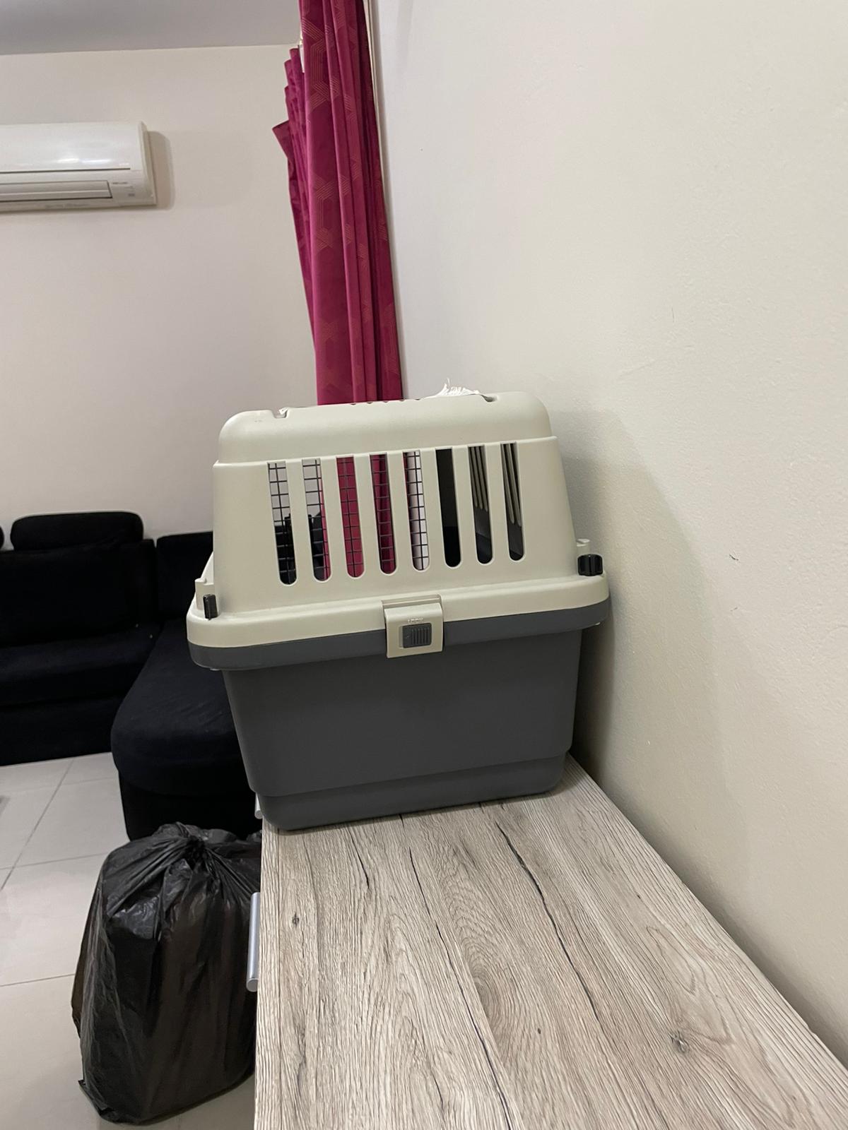 IATA APPROVED CRATE FOR CAT  - Image 3