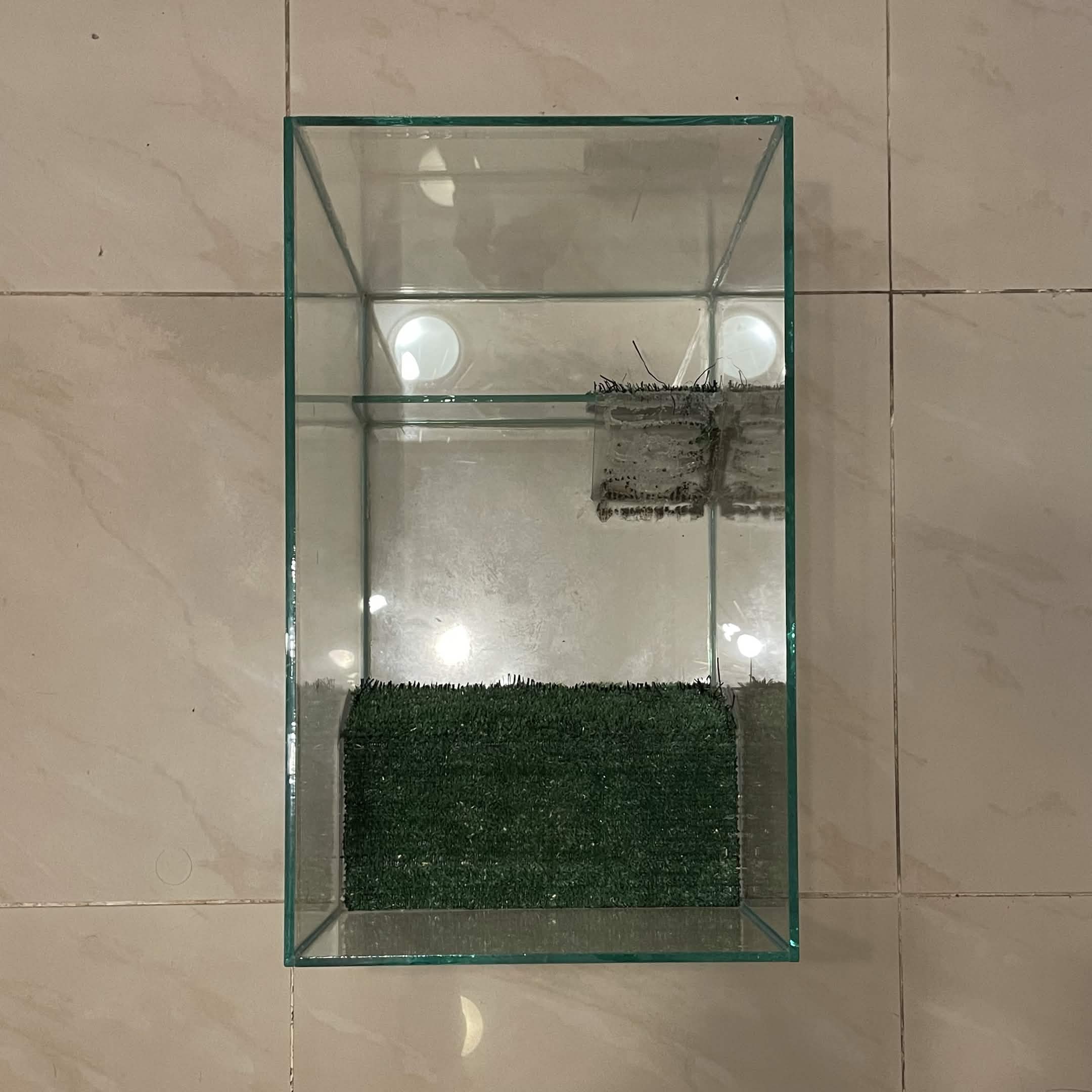 Reptile/Amphibian/Rodent Glass Tank - Image 3