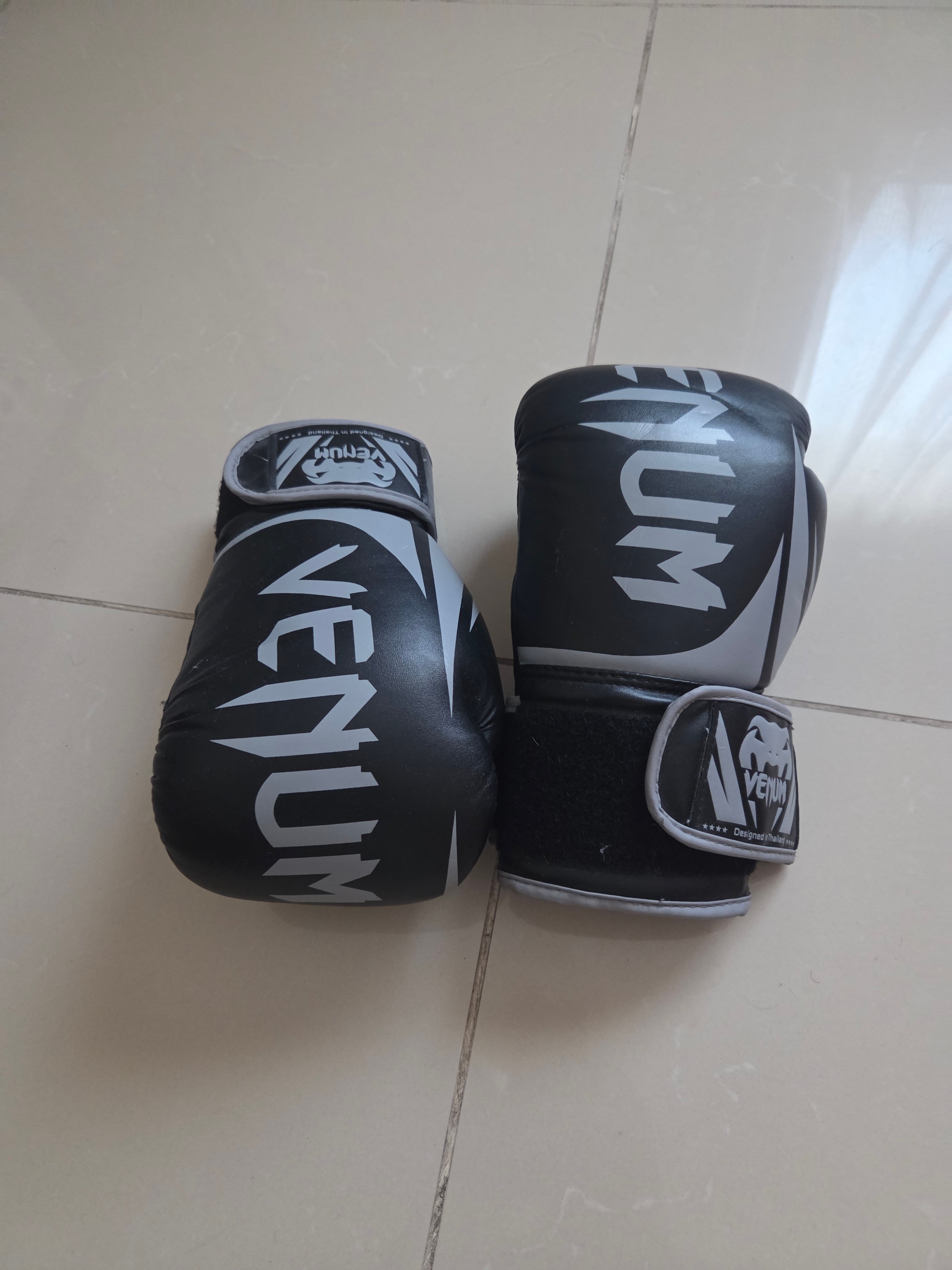 Boxing Frame with Heavy Bag & Speed ball.  Gloves, etc. - Image 3