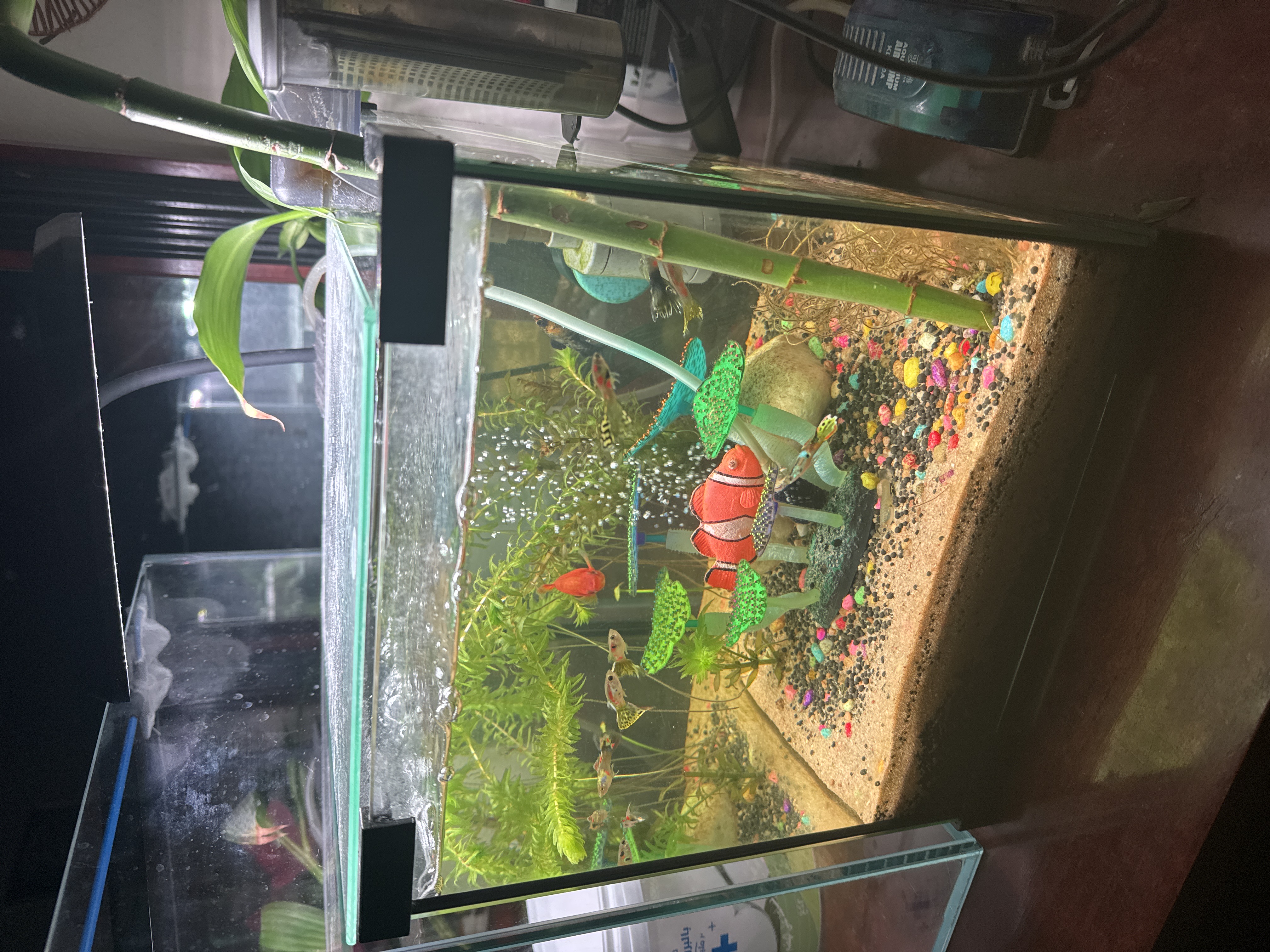Clear glass fish tank - Image 5
