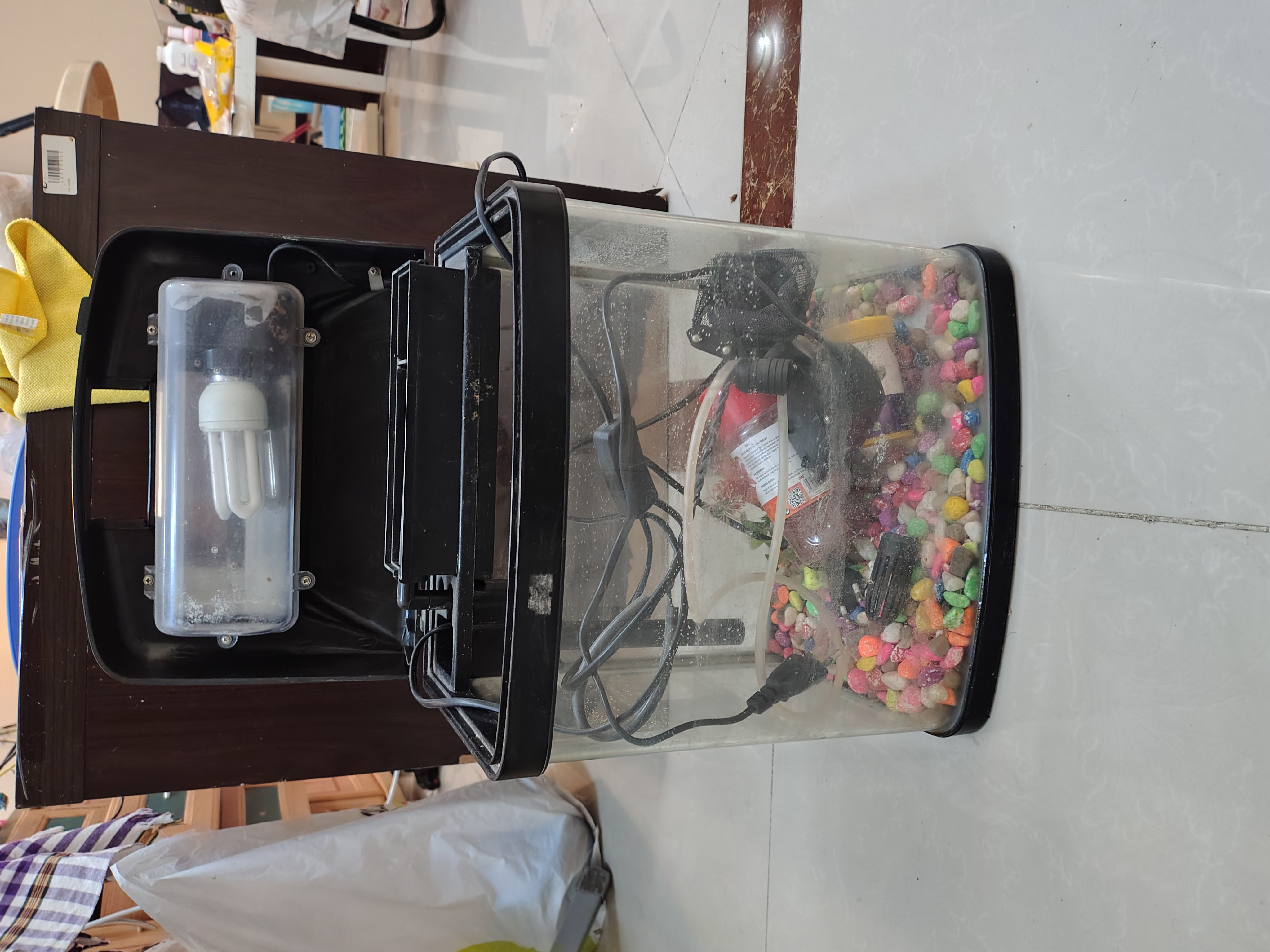 smalll aquarium for sale - Image 6