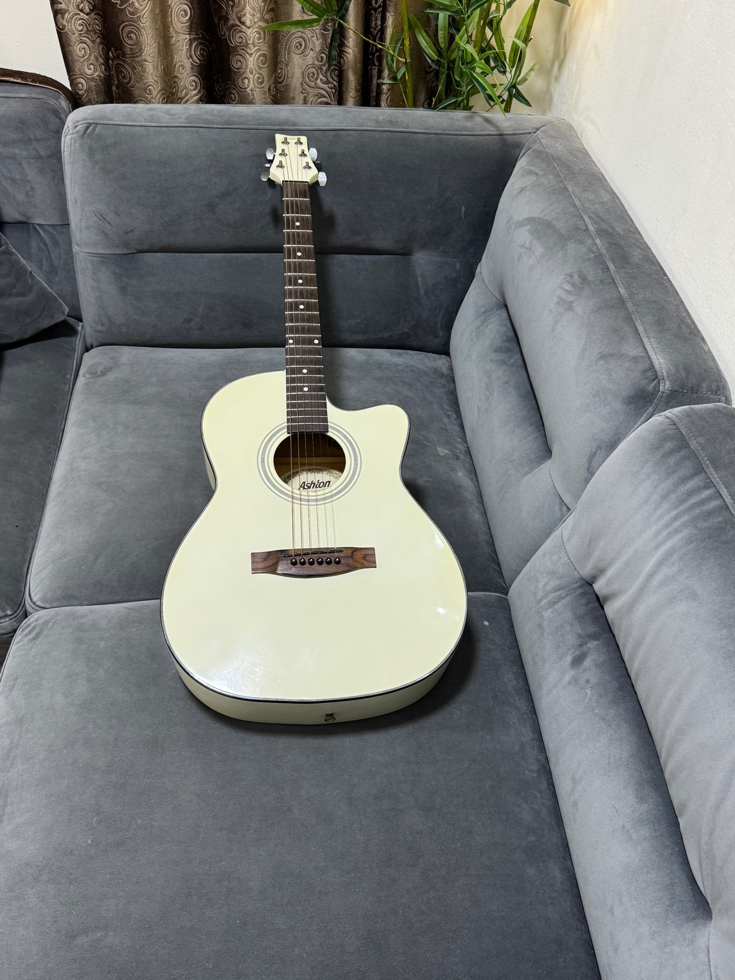 Ashton acoustic guitar - Image 4